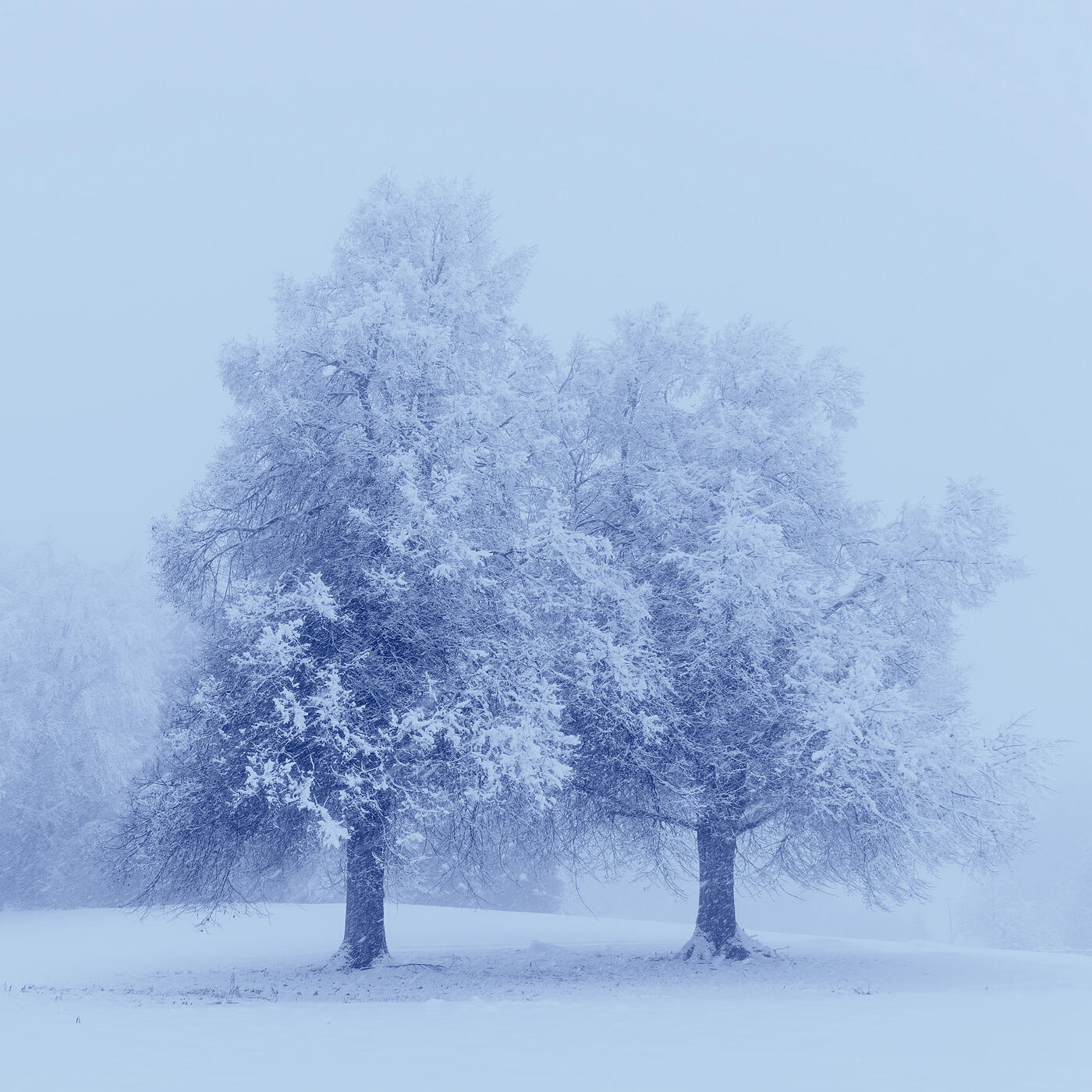 Релиз Winter Solace II
