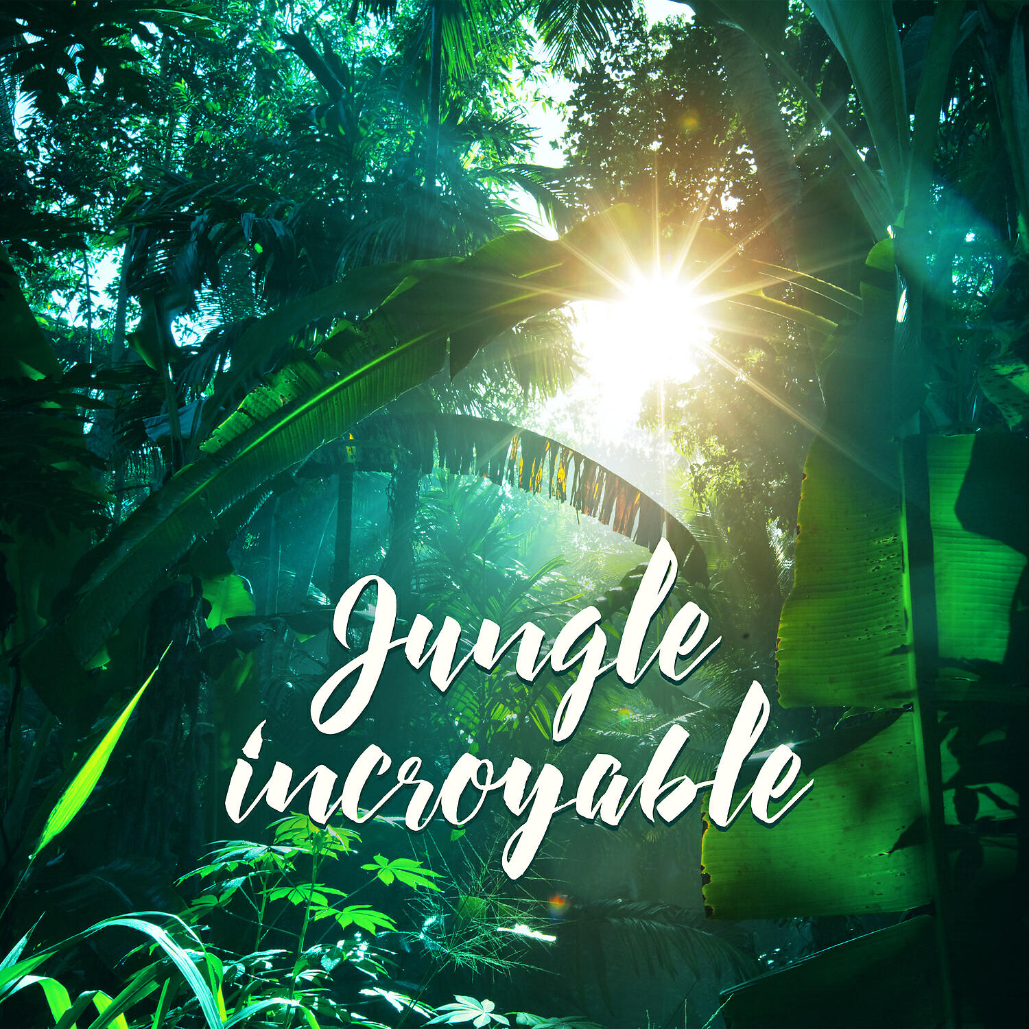 Релиз Jungle incroyable: Sons de la nature, Paysages sonores de la forêt, Chant des oiseaux, Ruisseaux d'eau pure