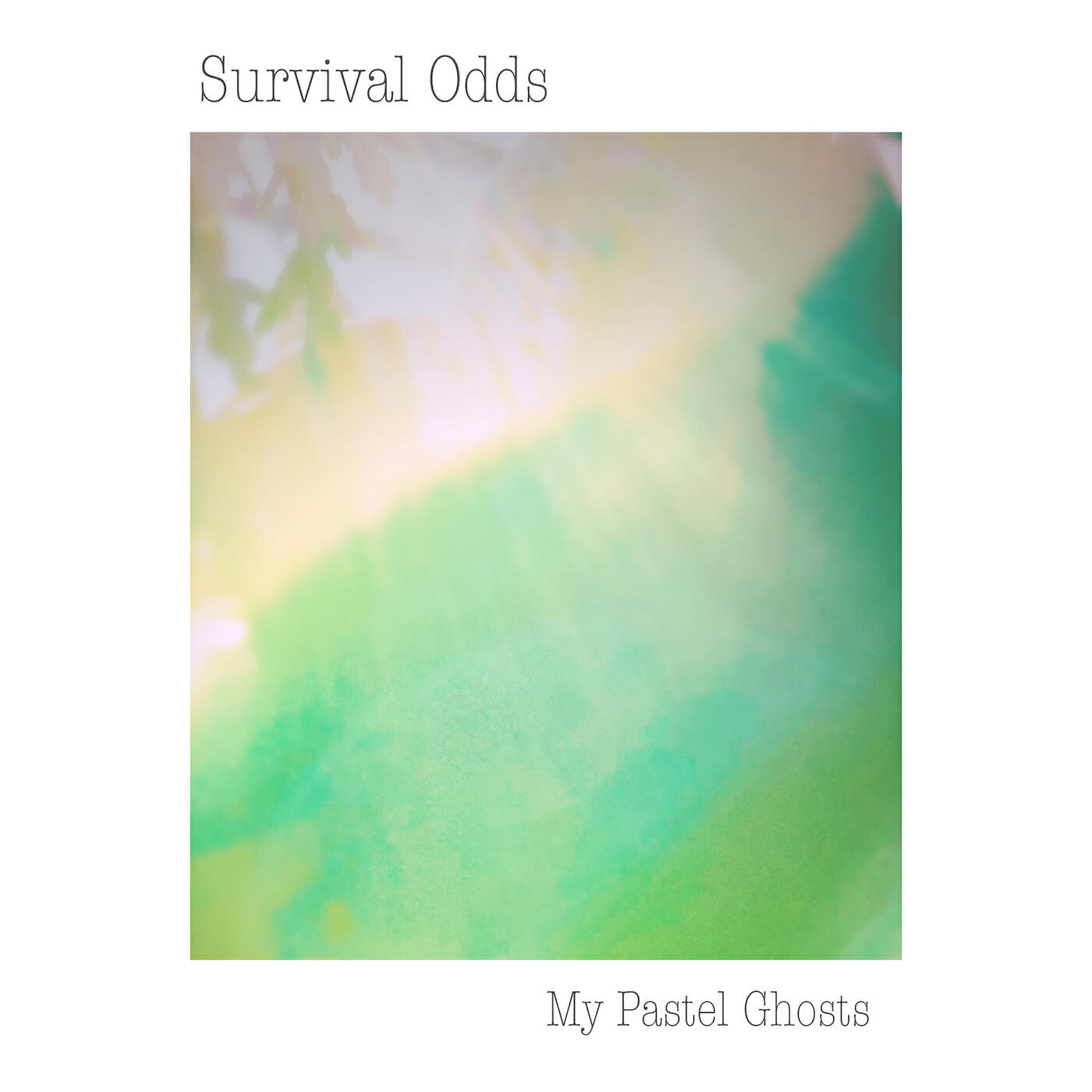 Релиз Survival Odds
