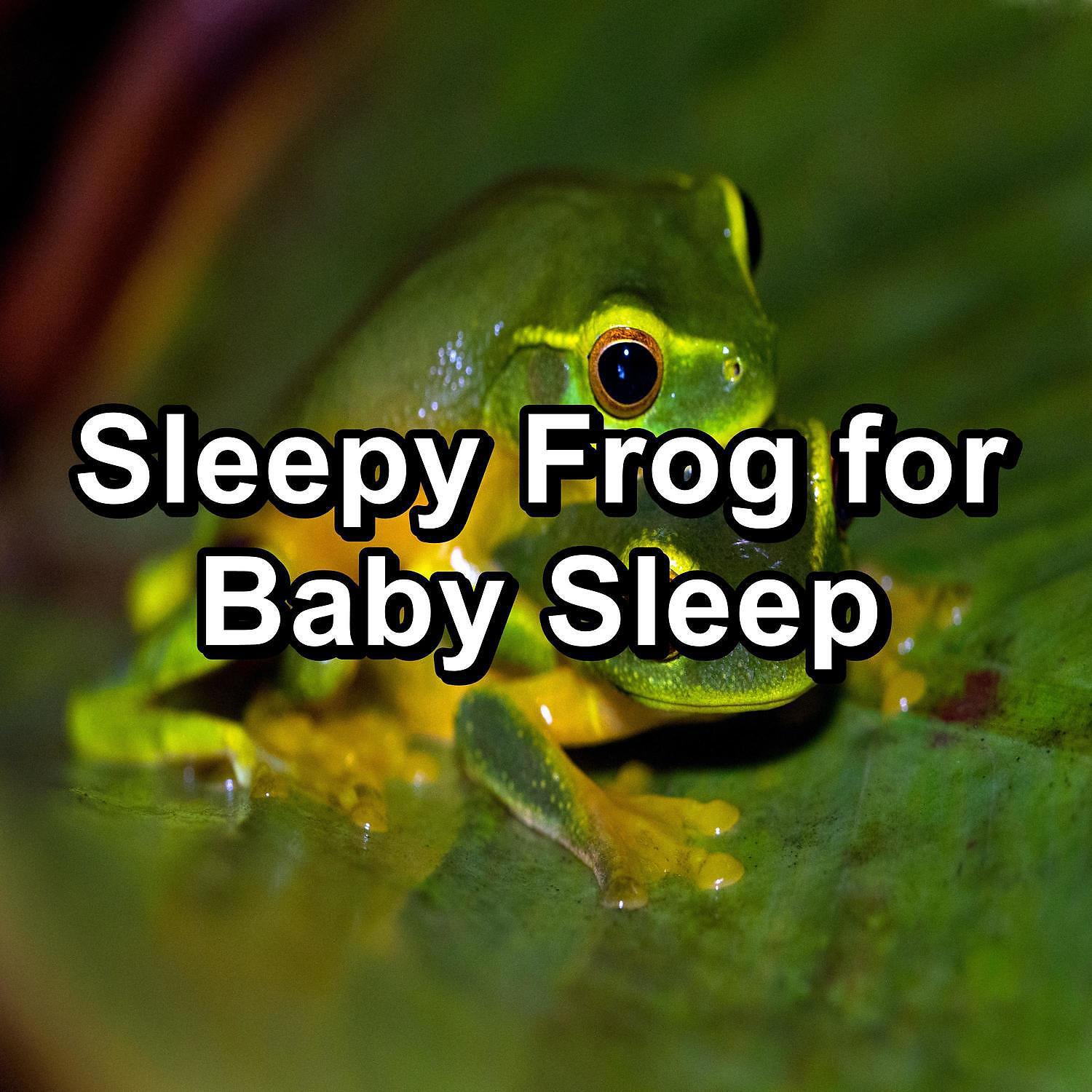 Релиз Sleepy Frog for Baby Sleep