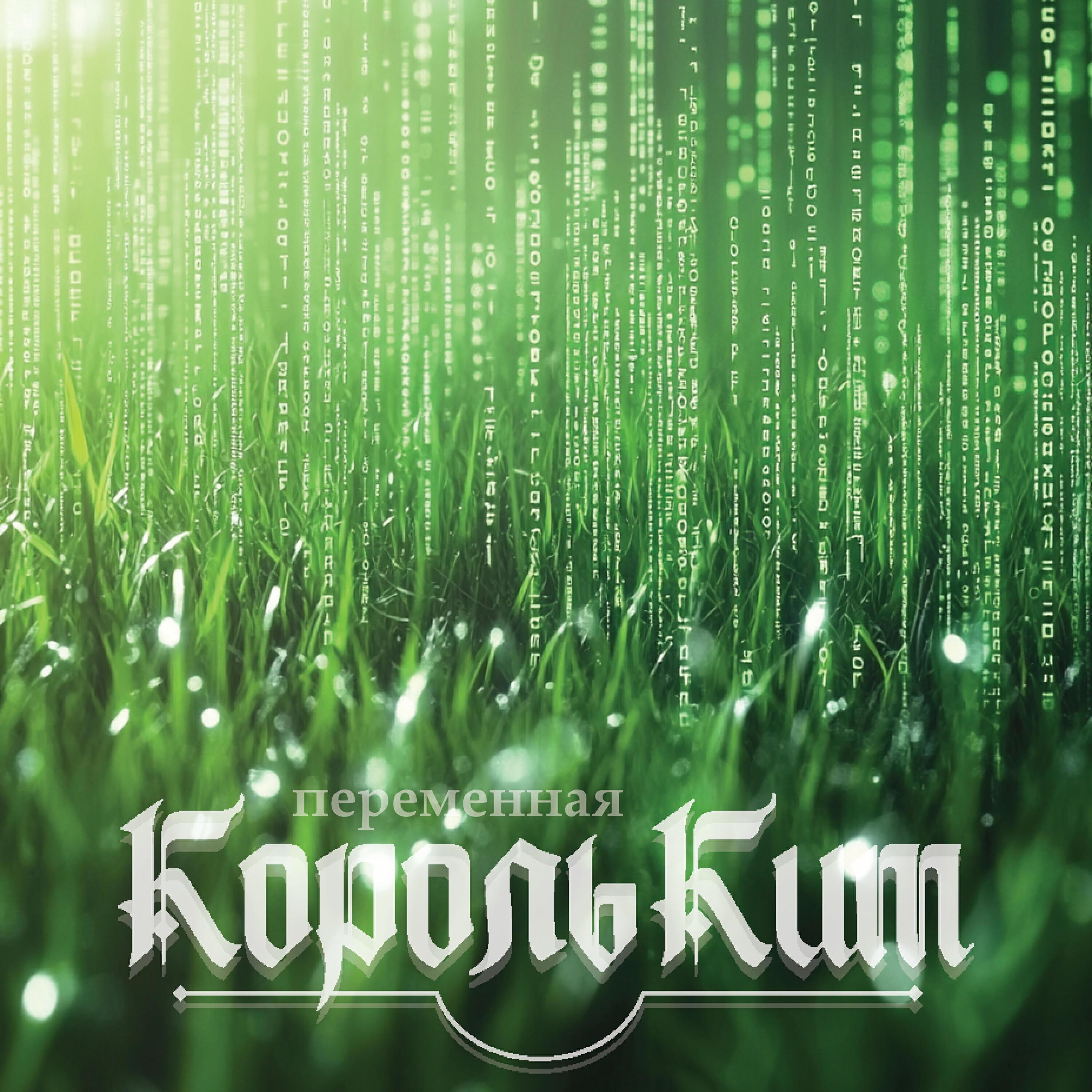 КорольКит