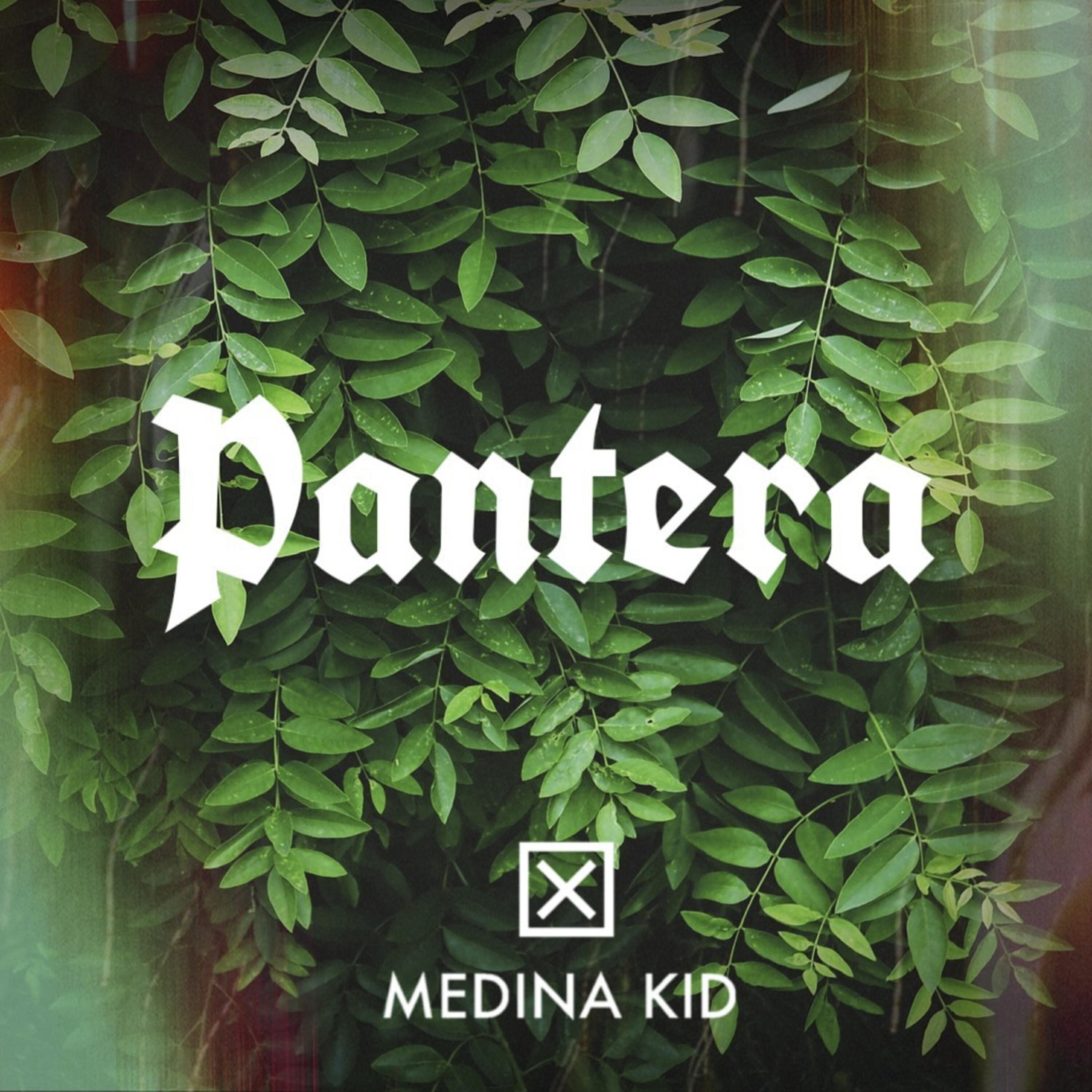 Скачать песню Medina Kid - Pantera бесплатно в MP3 для Android и iOS