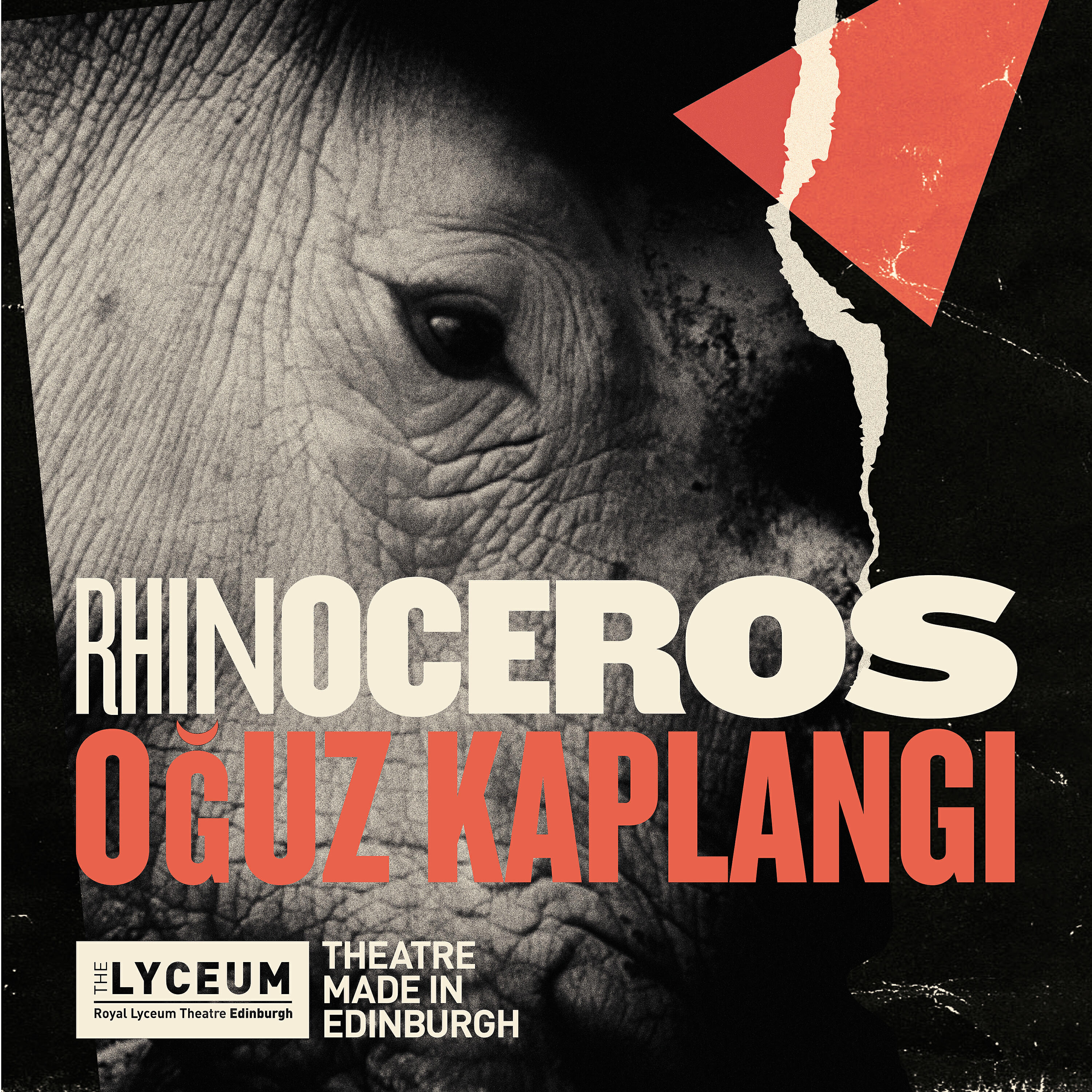 Релиз Rhinoceros