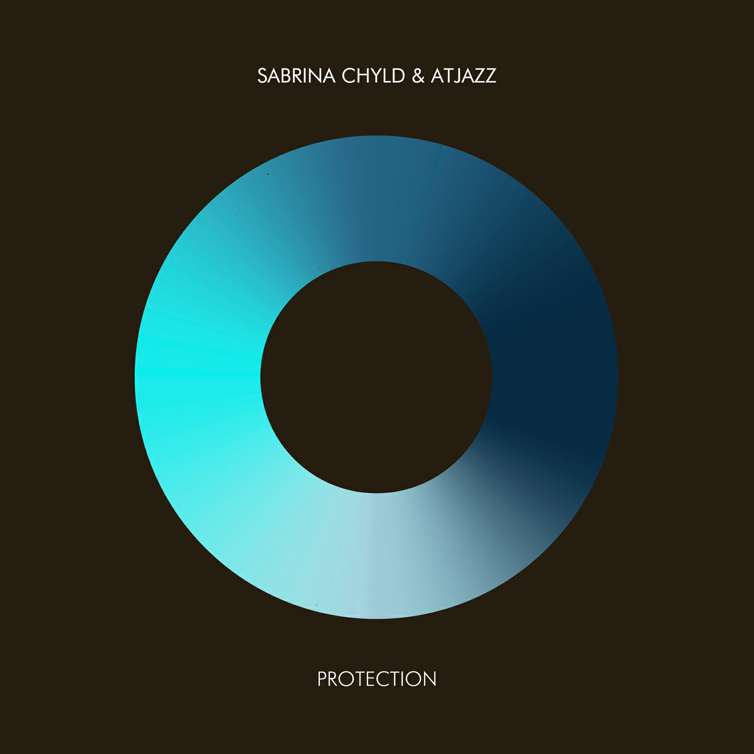 Релиз Protection