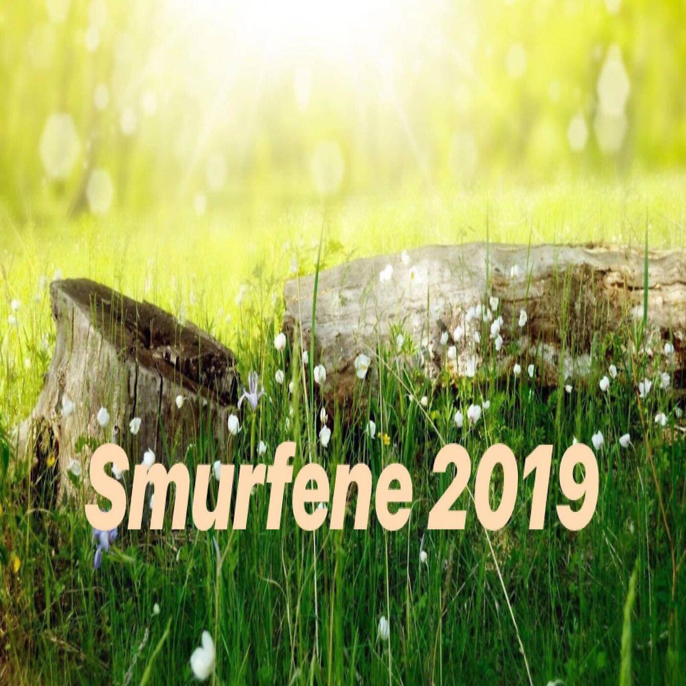 Релиз Smurfene 2019