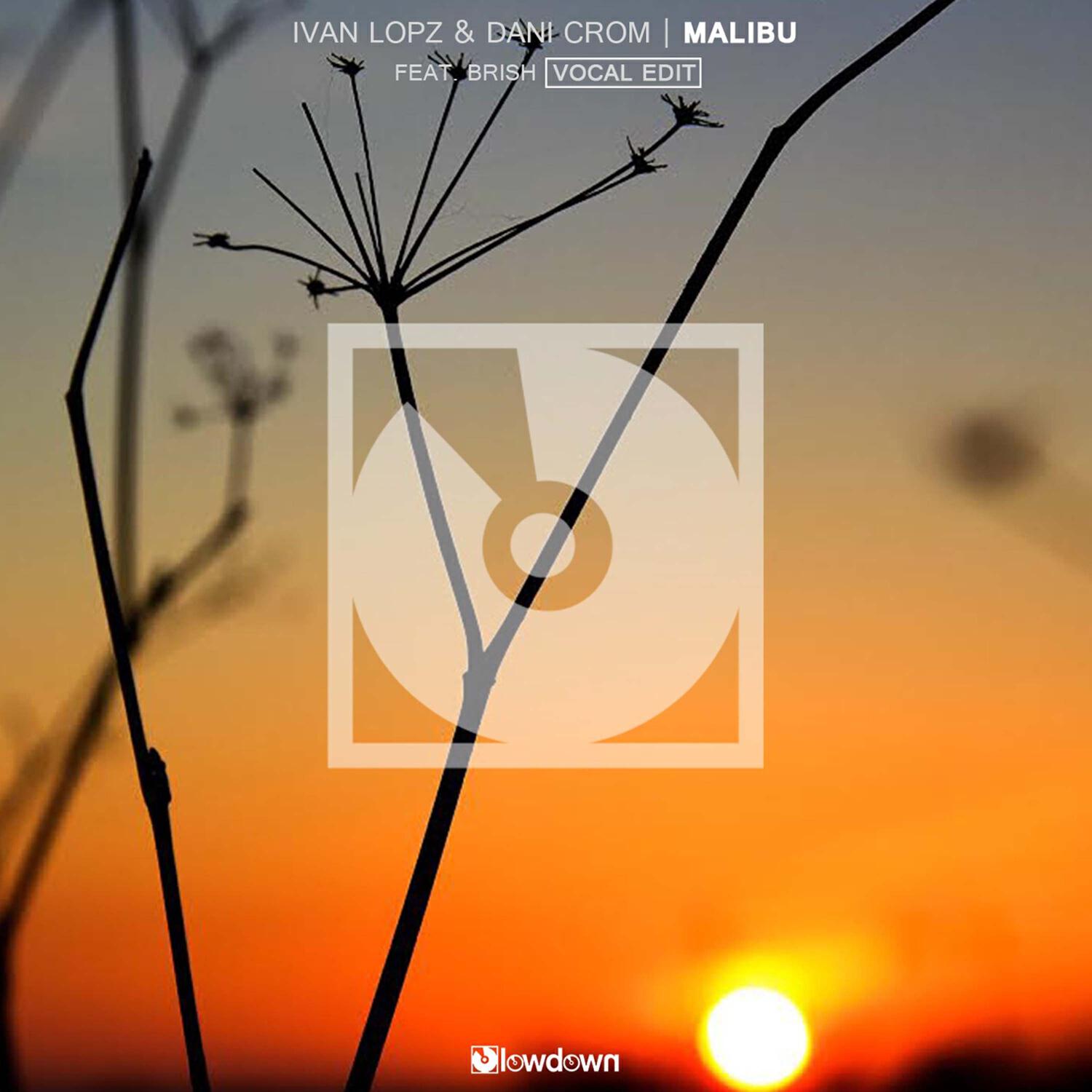 Релиз Malibu