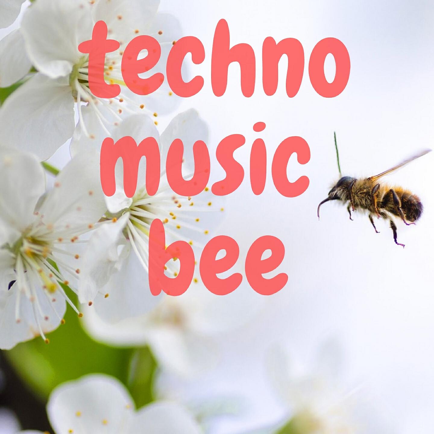 Релиз TECHNO MUSIC BEE