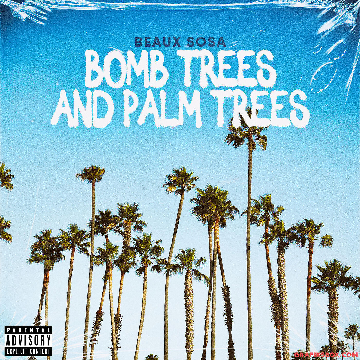 Постер альбома Bomb Trees and Palm Trees