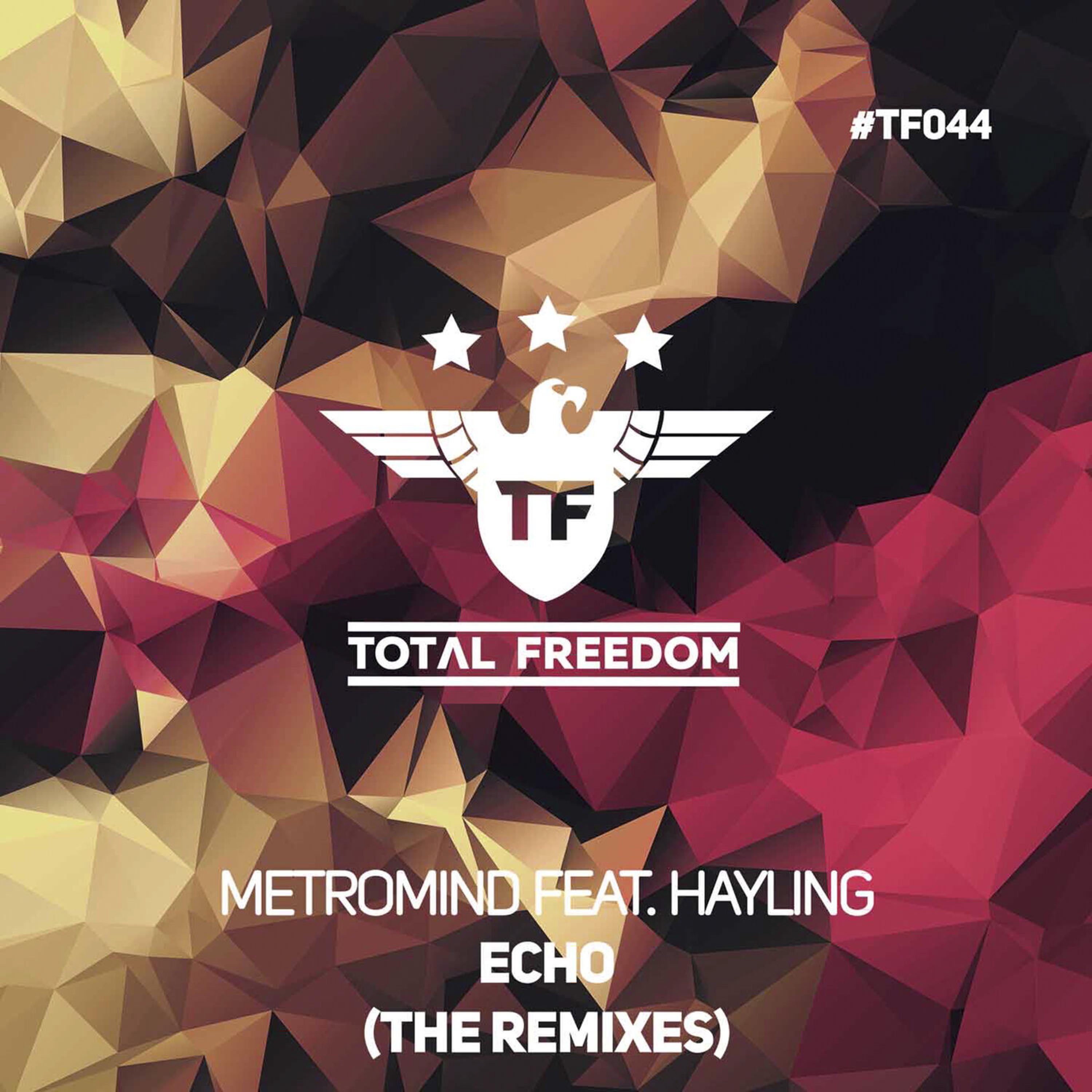 Релиз Echo The Remixes