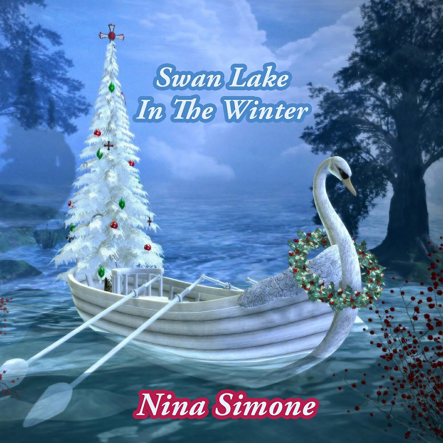 Постер альбома Swan Lake In The Winter