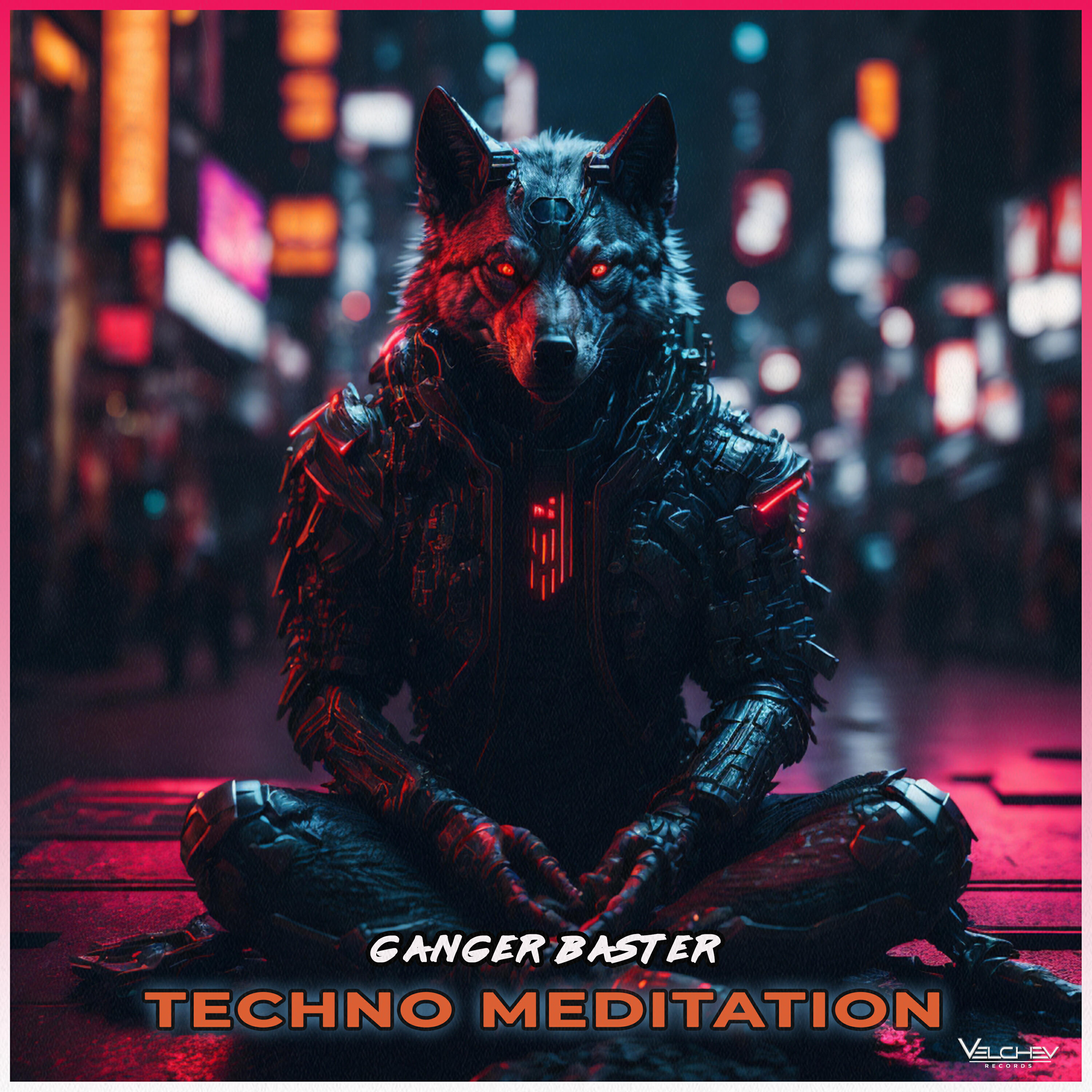 Релиз Techno Meditation