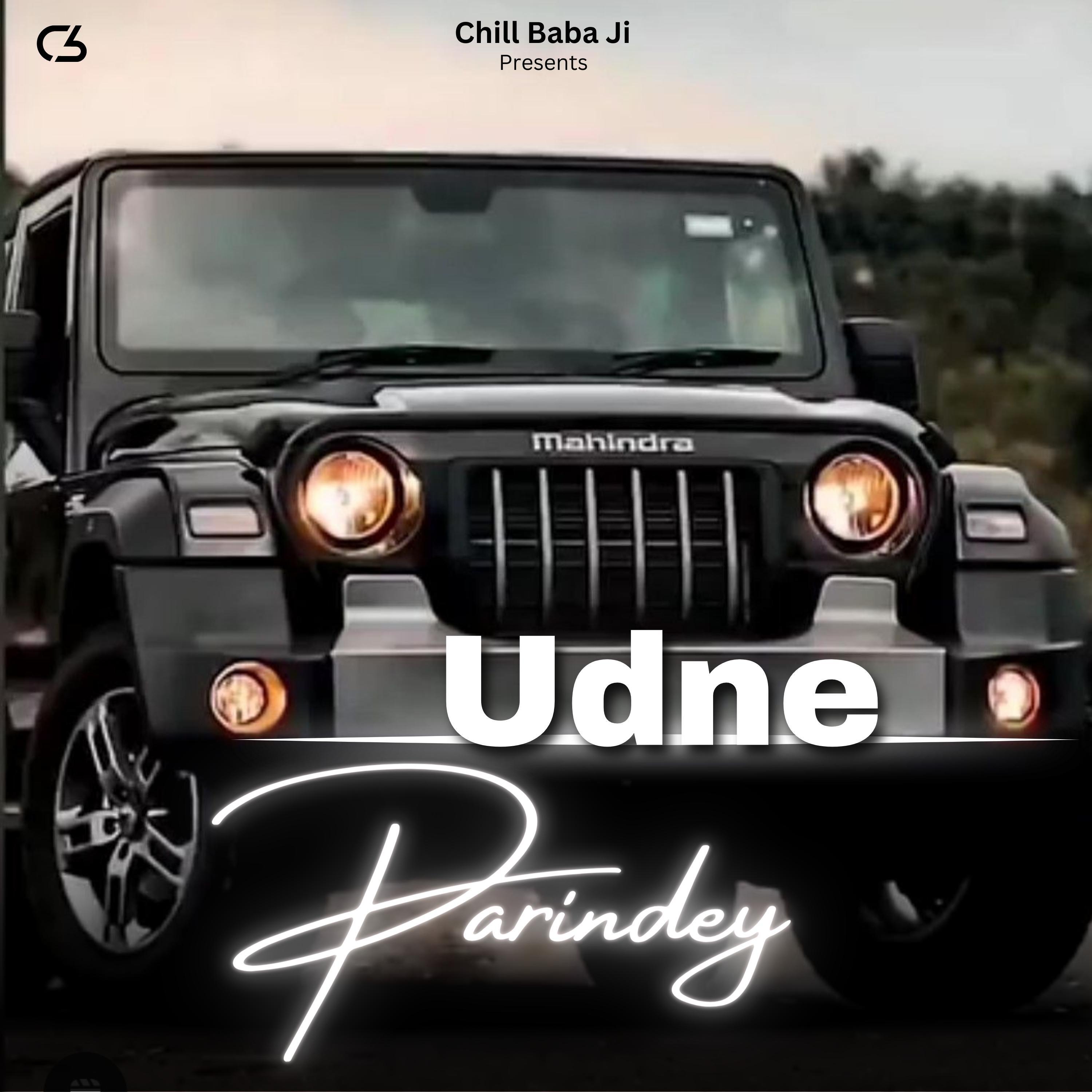 Релиз Udne Parindey