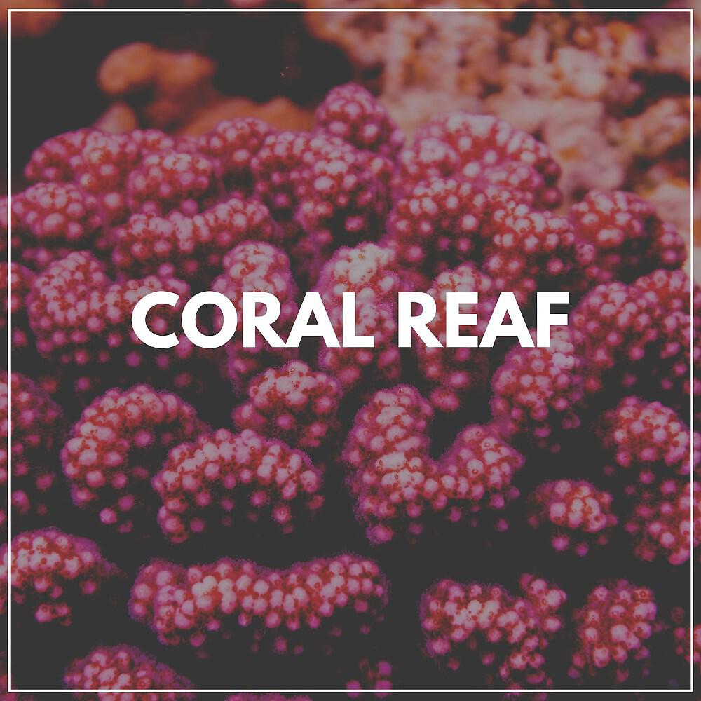 Релиз Coral Reaf