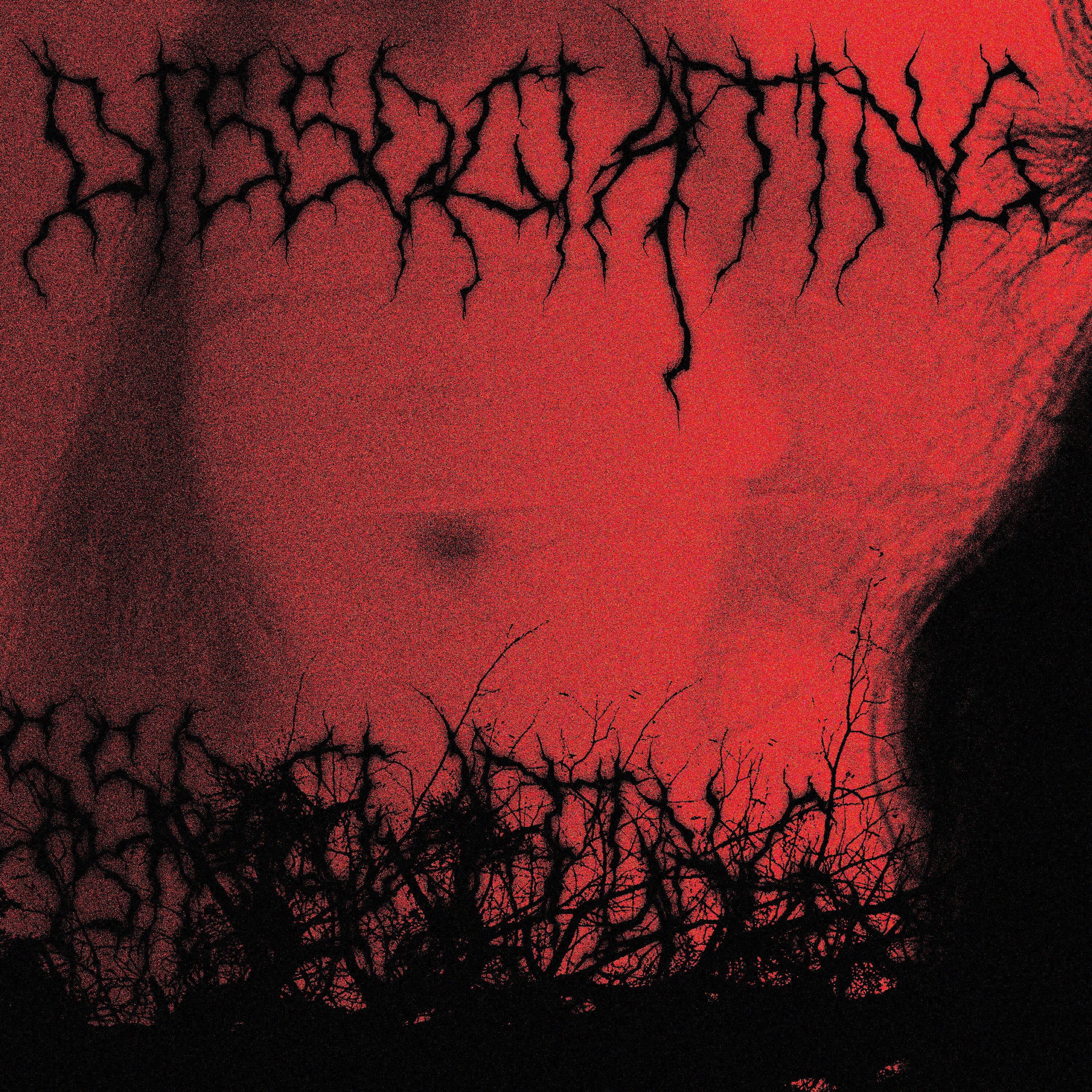 Релиз DISSOCIATING