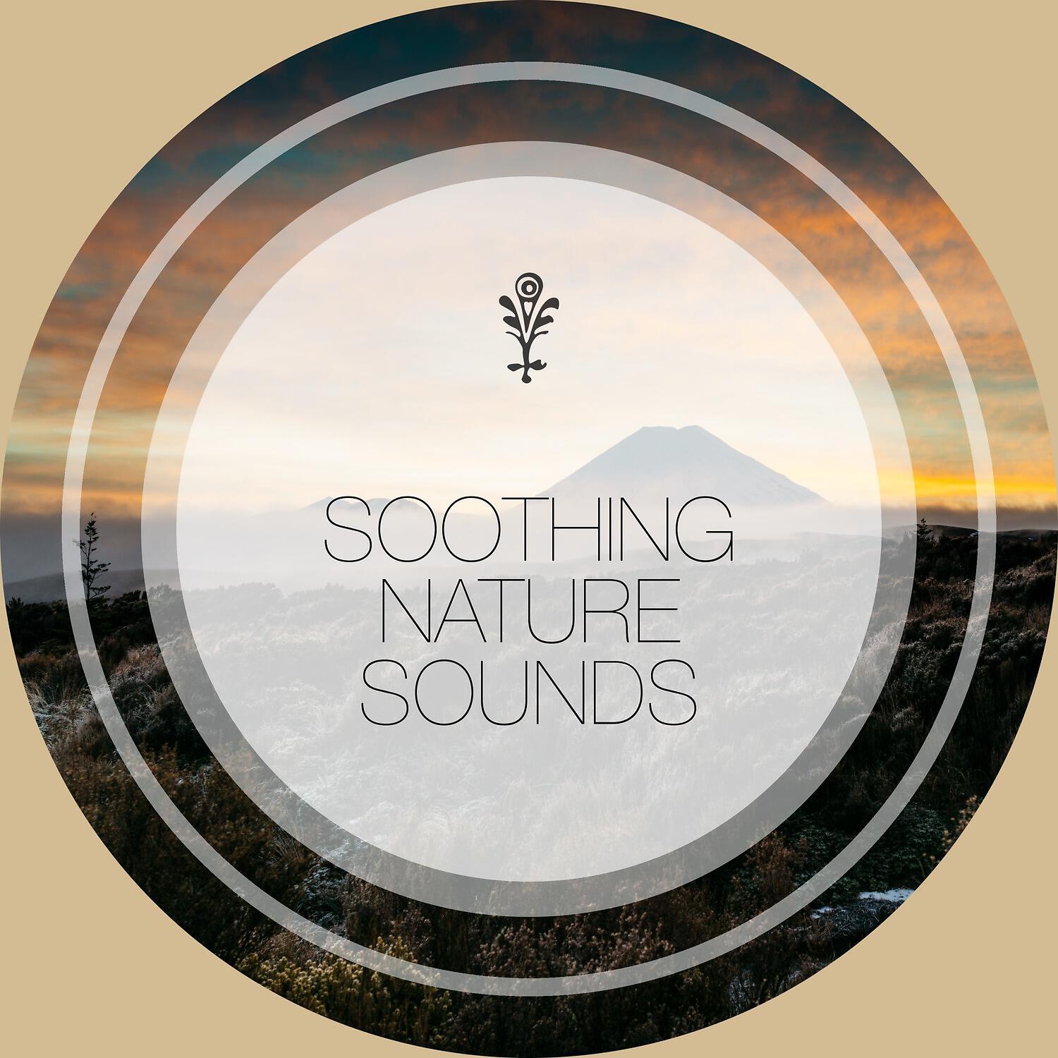 Релиз Soothing Nature Sounds