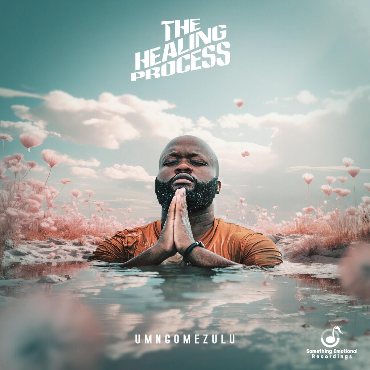 Релиз The Healing Process