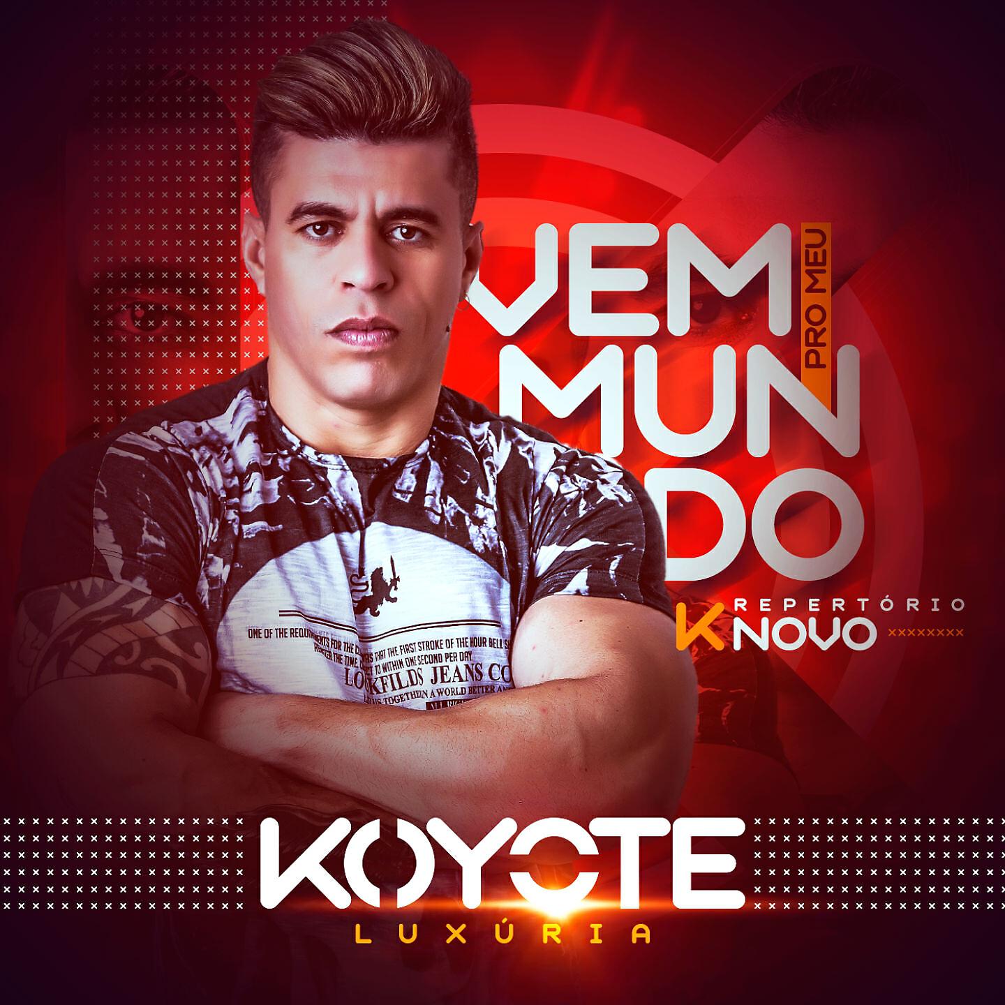 Релиз Vem pro Meu Mundo
