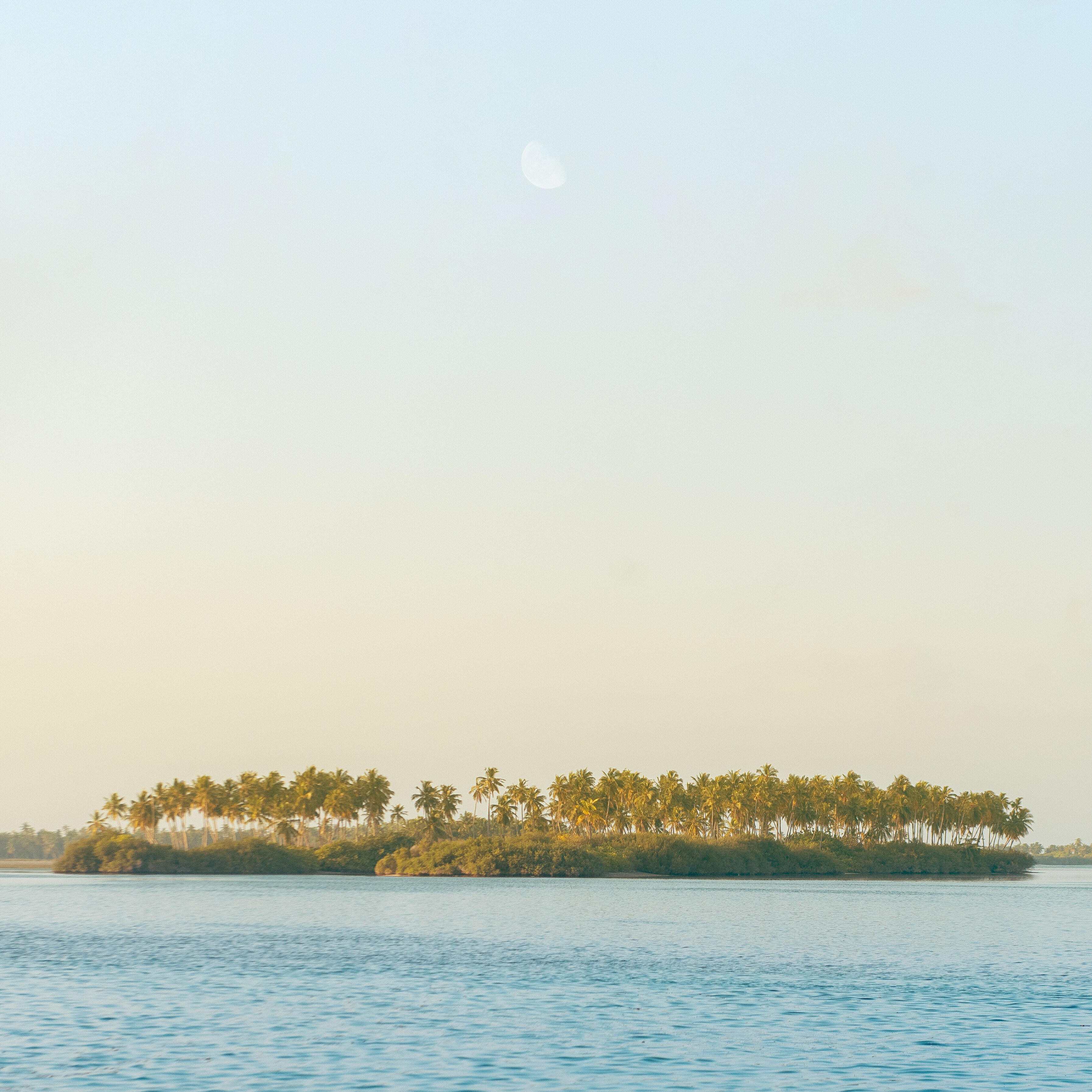 Релиз a sip of summer