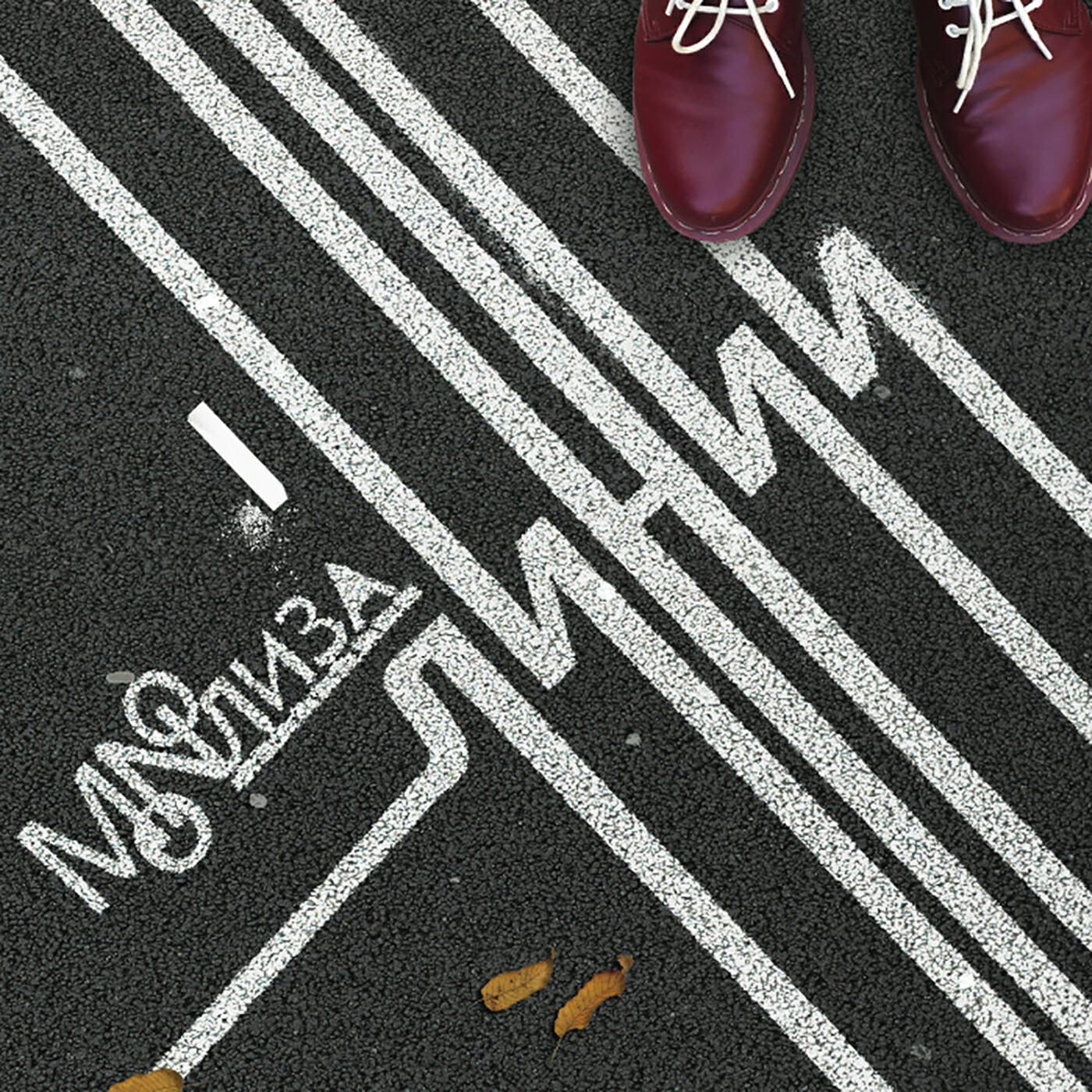 Скачать песню MONOЛИЗА, Владимир Шахрин - Линии бесплатно в MP3 для Android и iOS