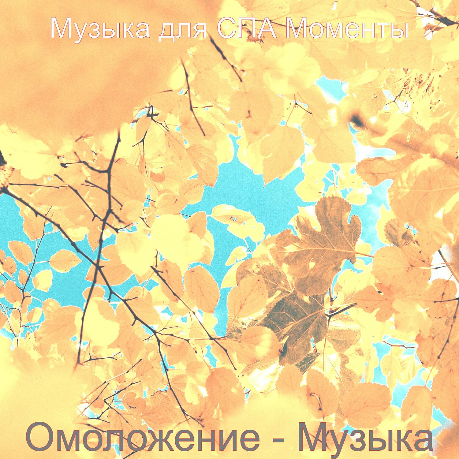 Релиз Омоложение - Музыка
