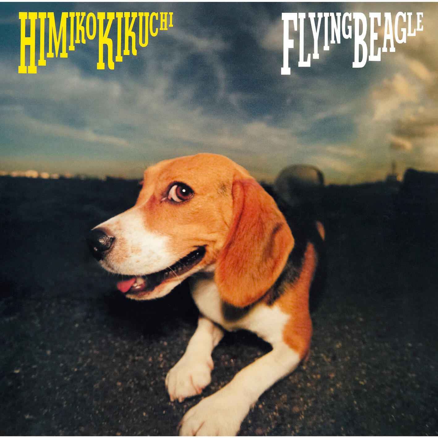 Релиз FLYING BEAGLE