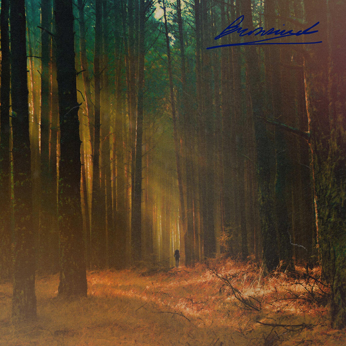 Релиз The Reminiscence Bump