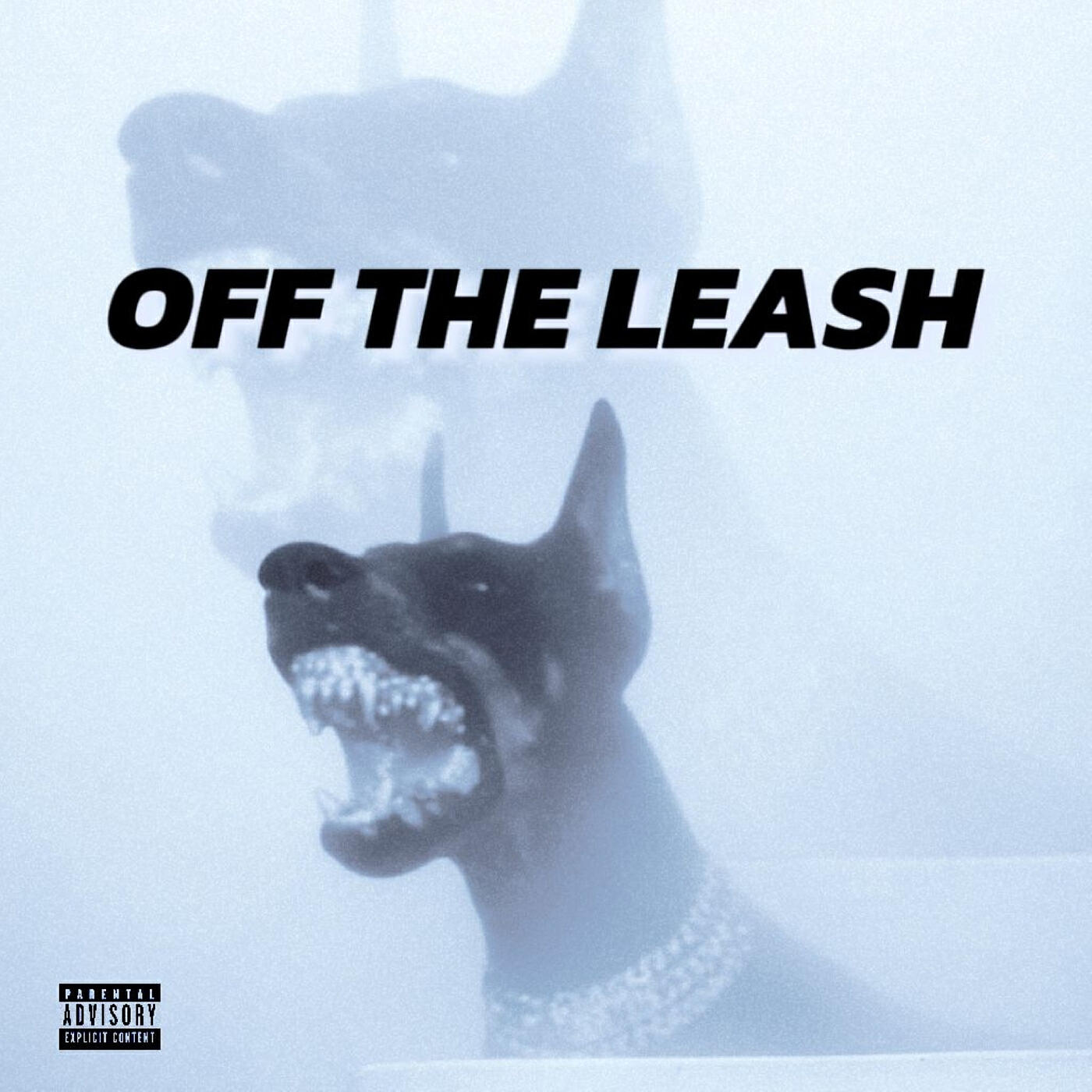 Релиз Off the Leash