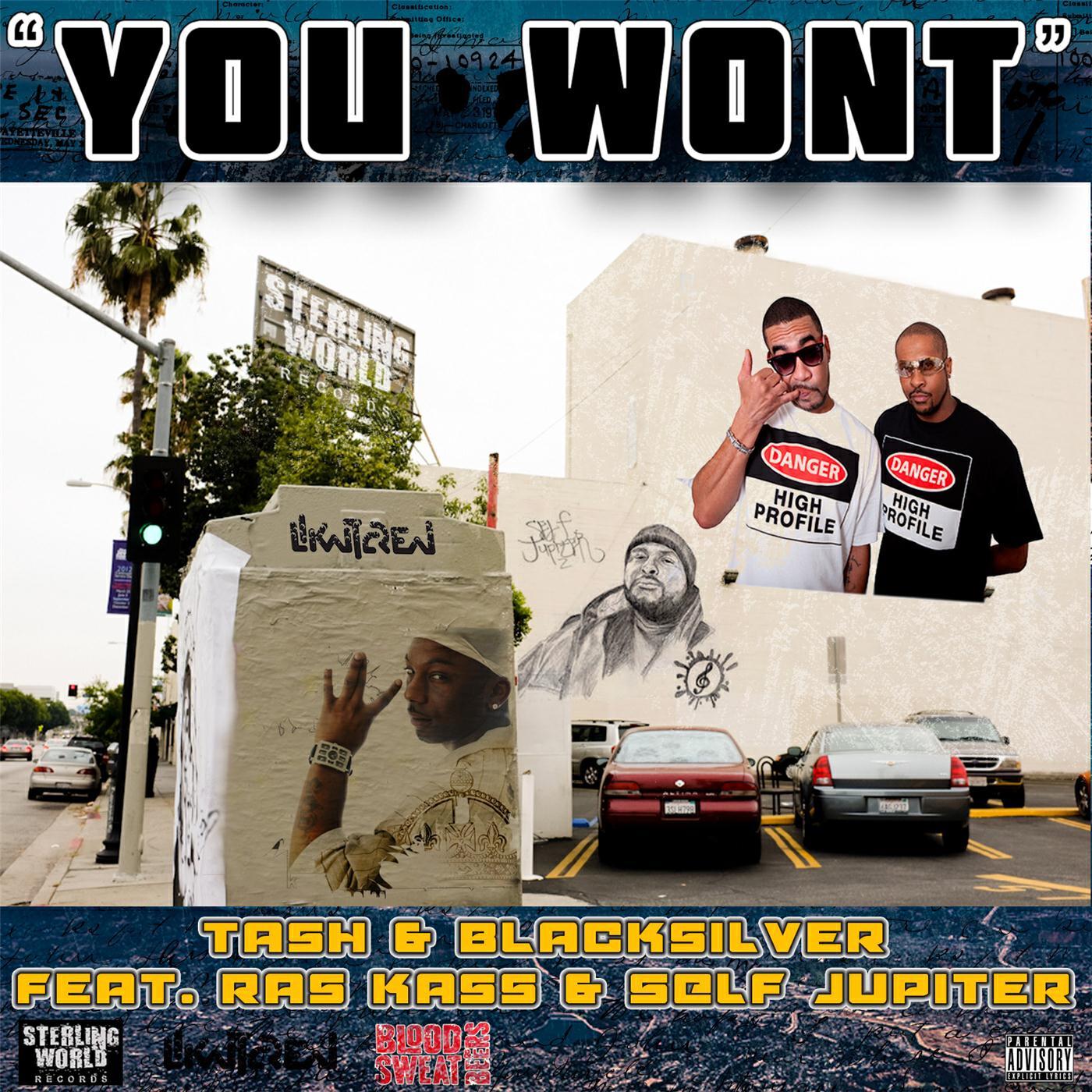 Релиз You Wont (feat. Ras Kass & Self Jupiter)