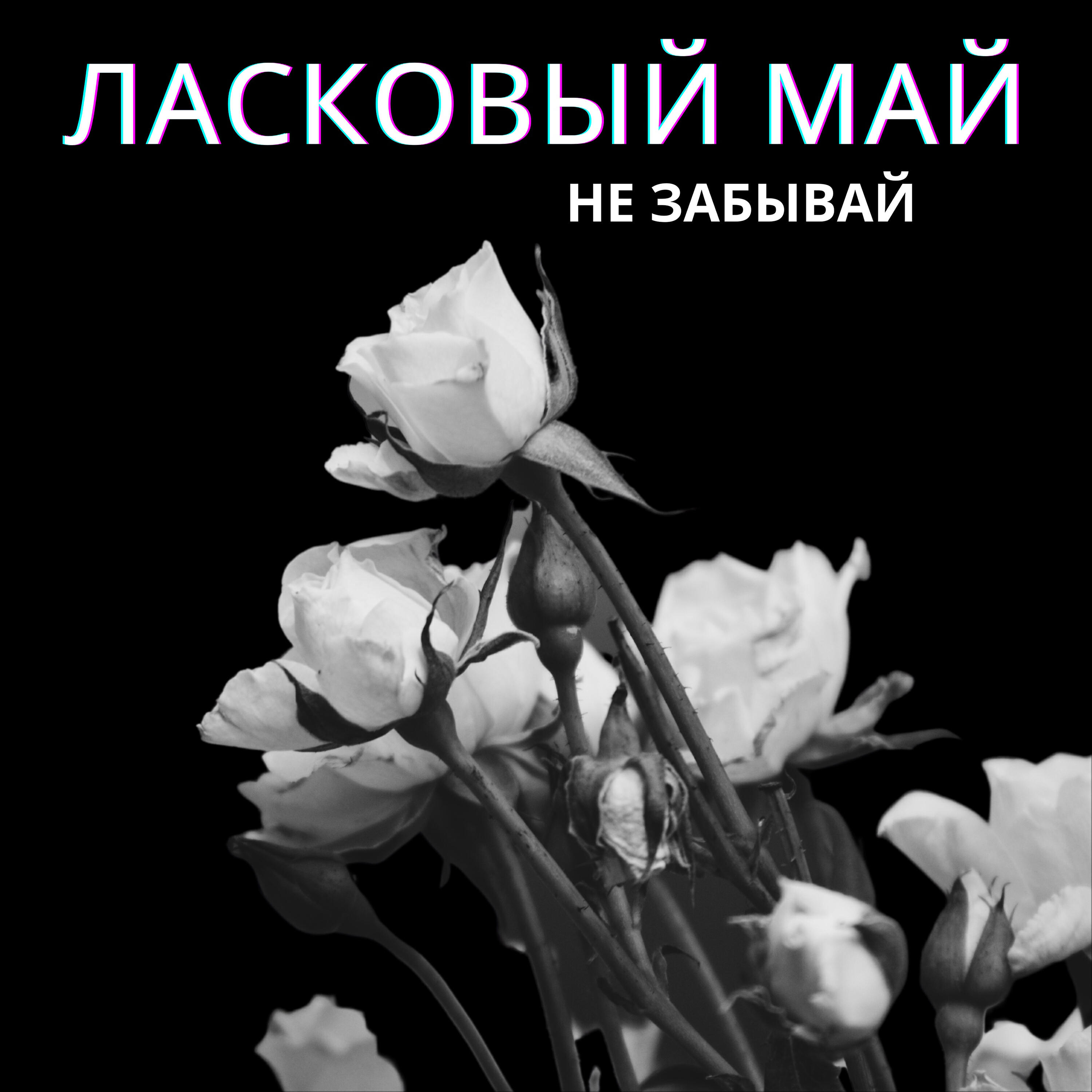 Релиз Не забывай