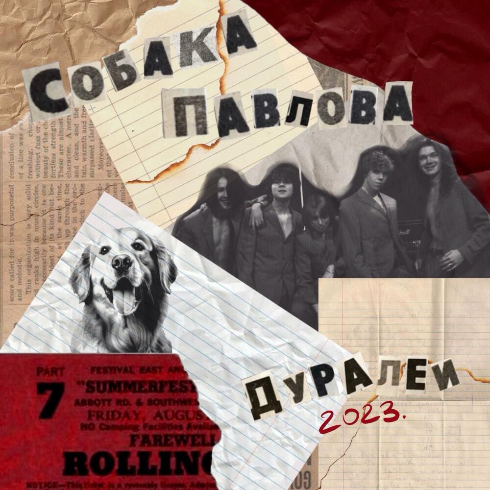 Релиз Собака Павлова