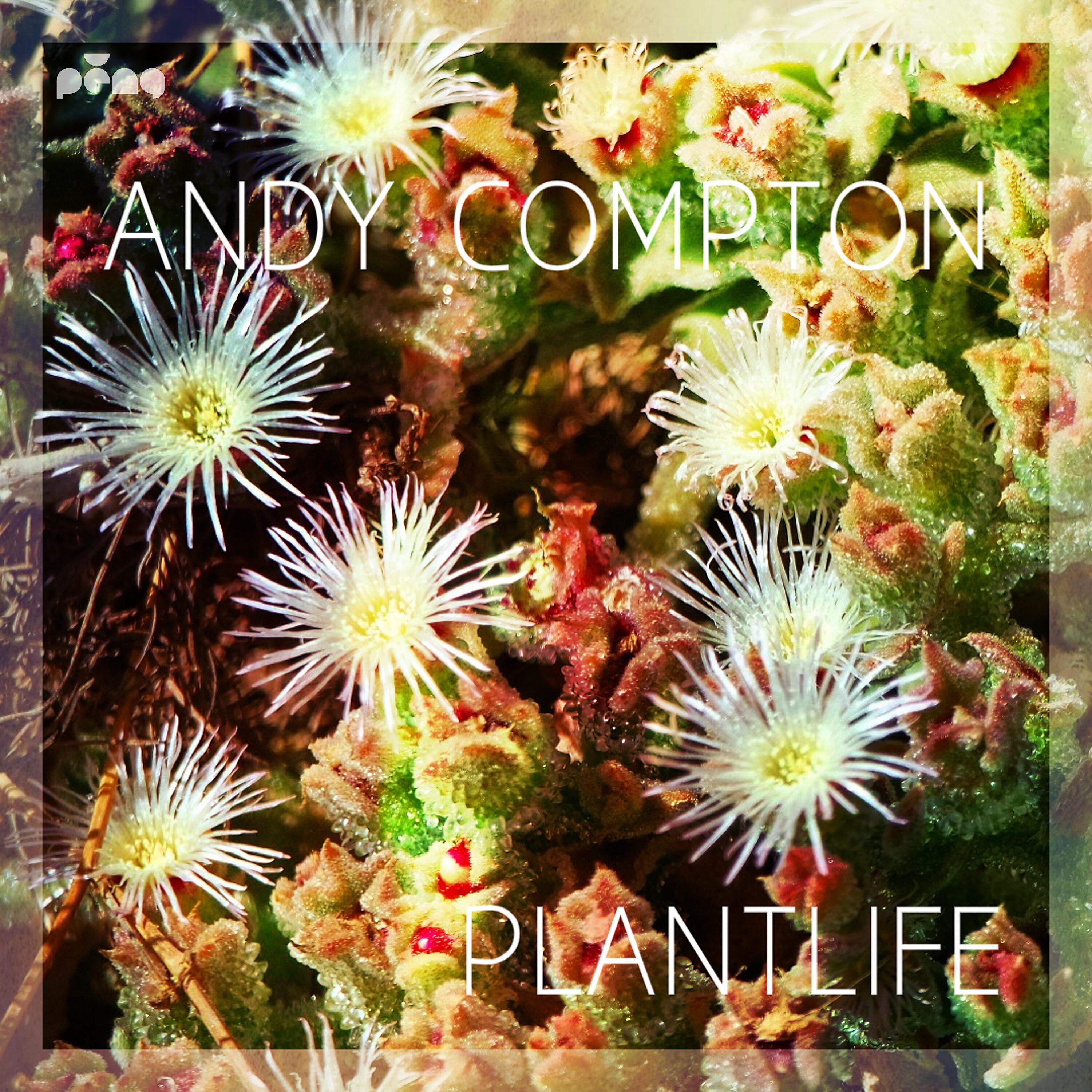 Релиз Plantlife