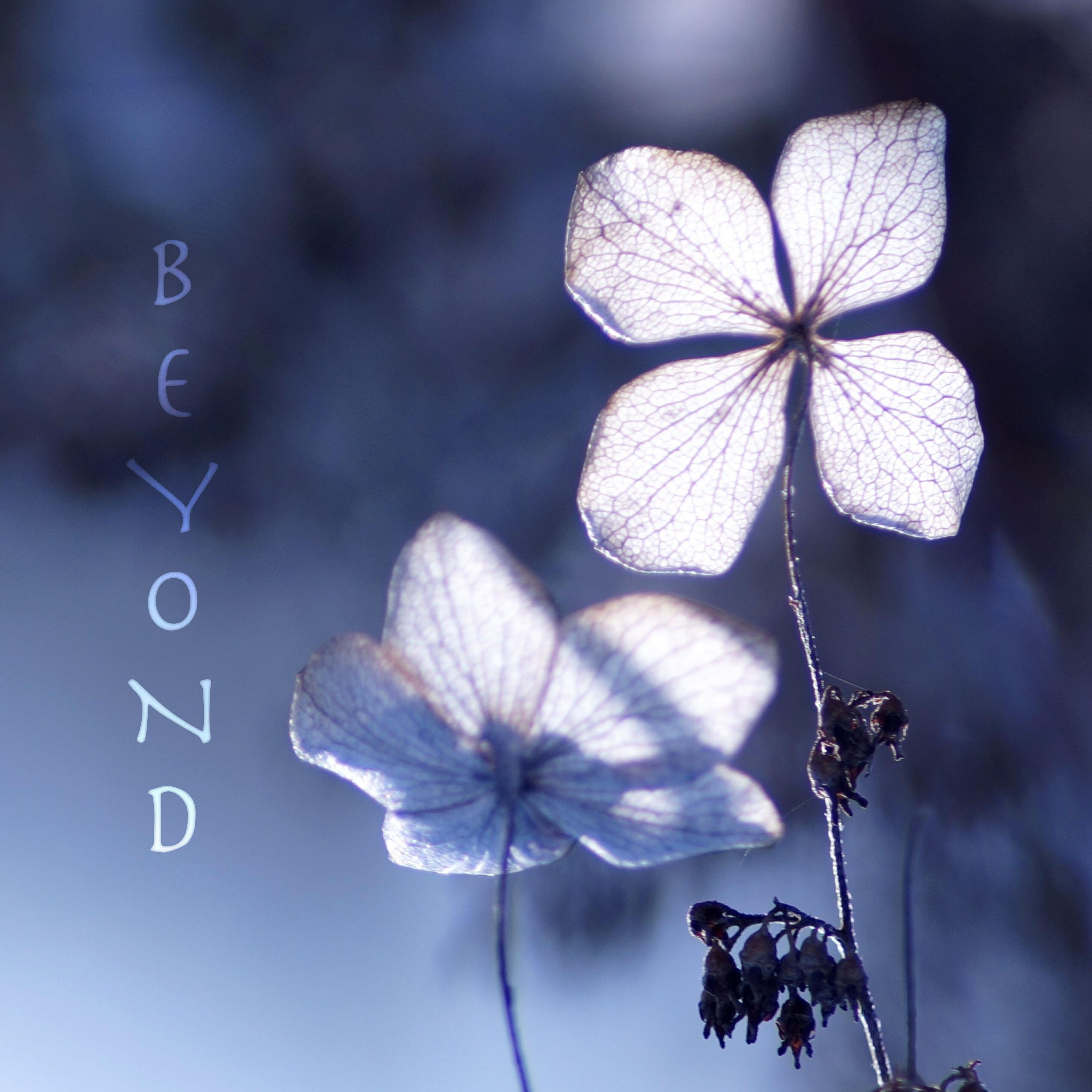 Релиз Beyond