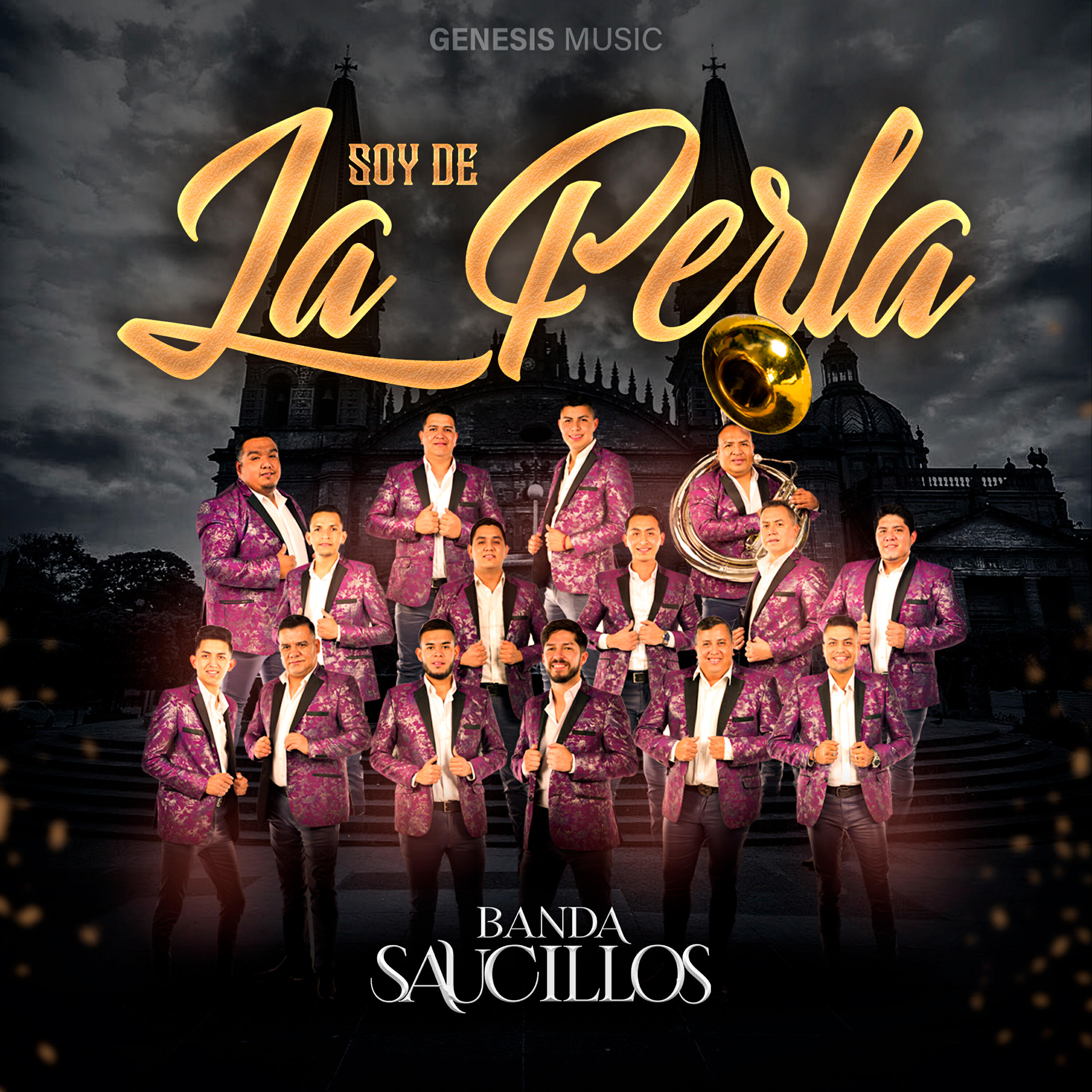 Banda Saucillos