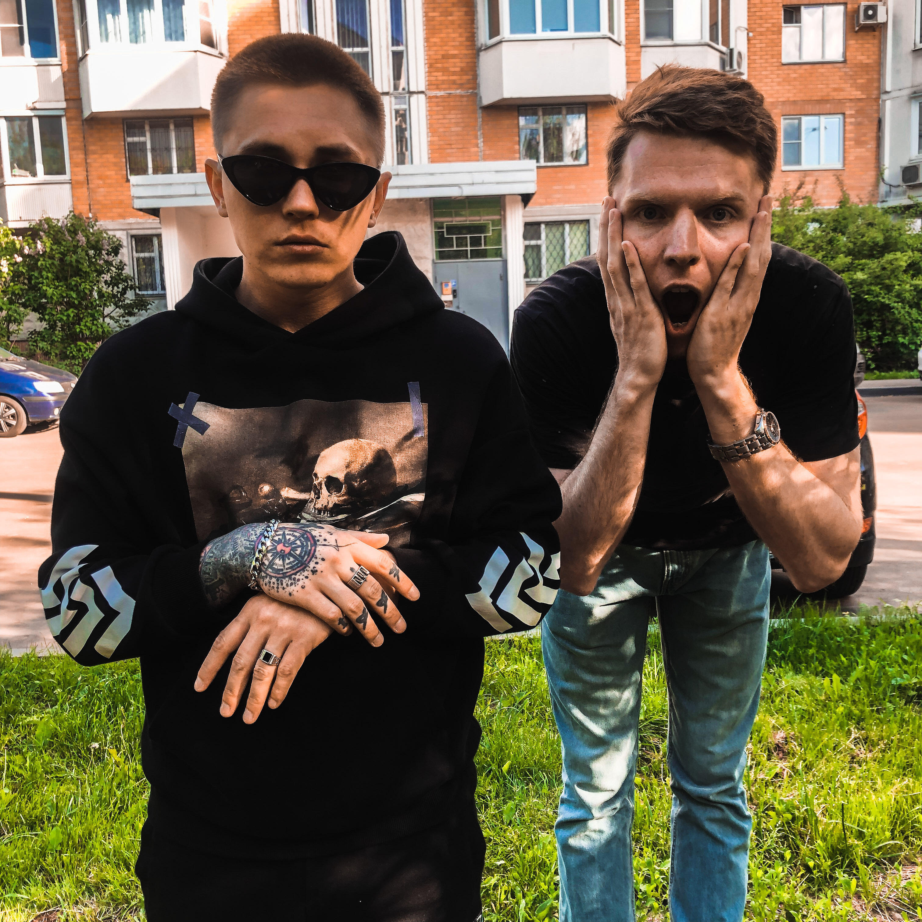 Релиз Палево