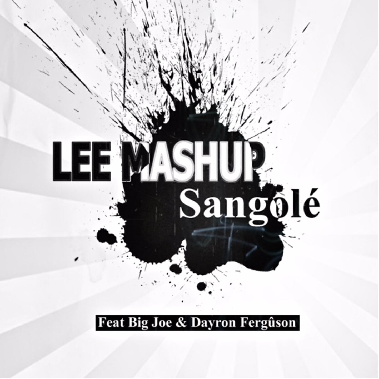 Lee Mashup