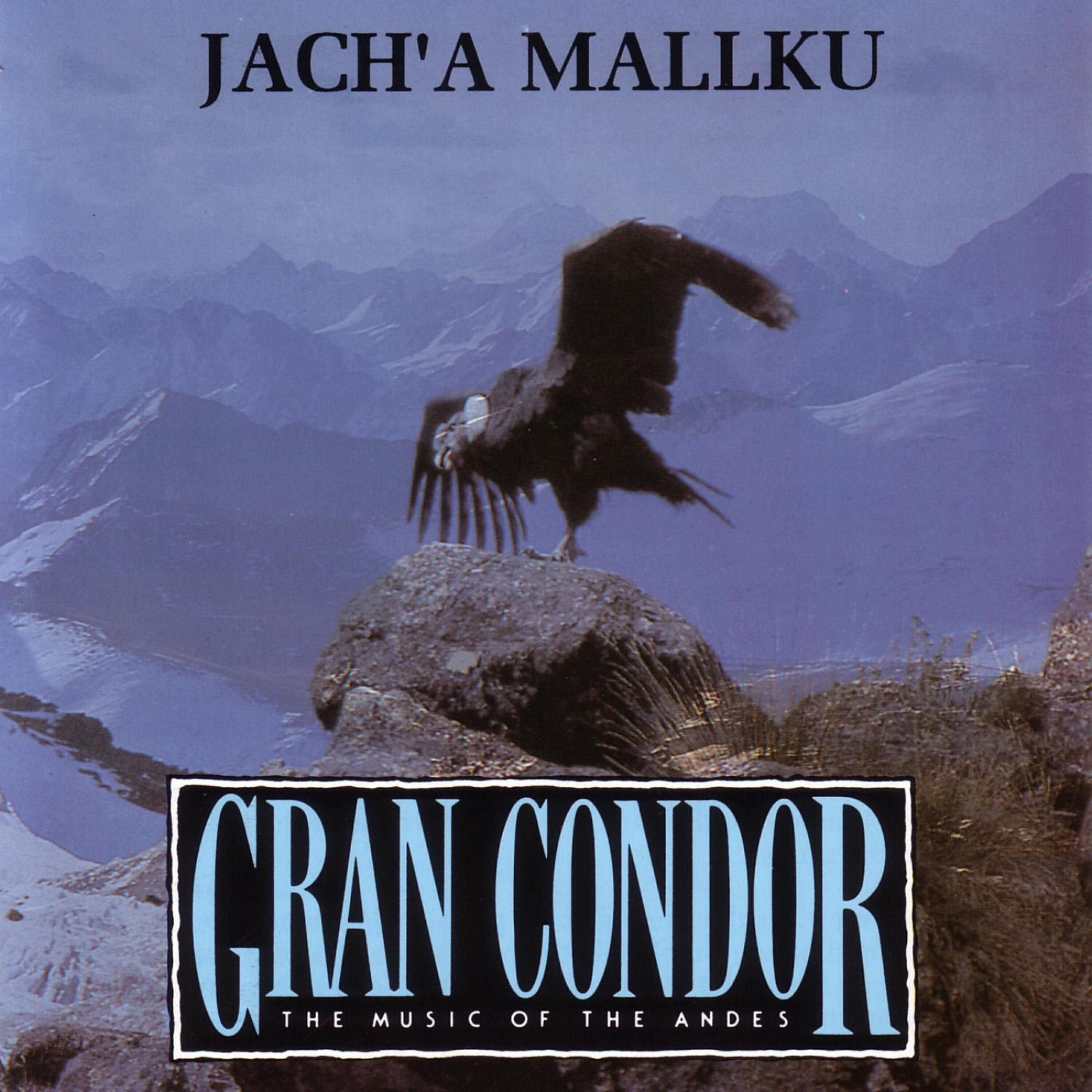 Постер альбома Gran Condor