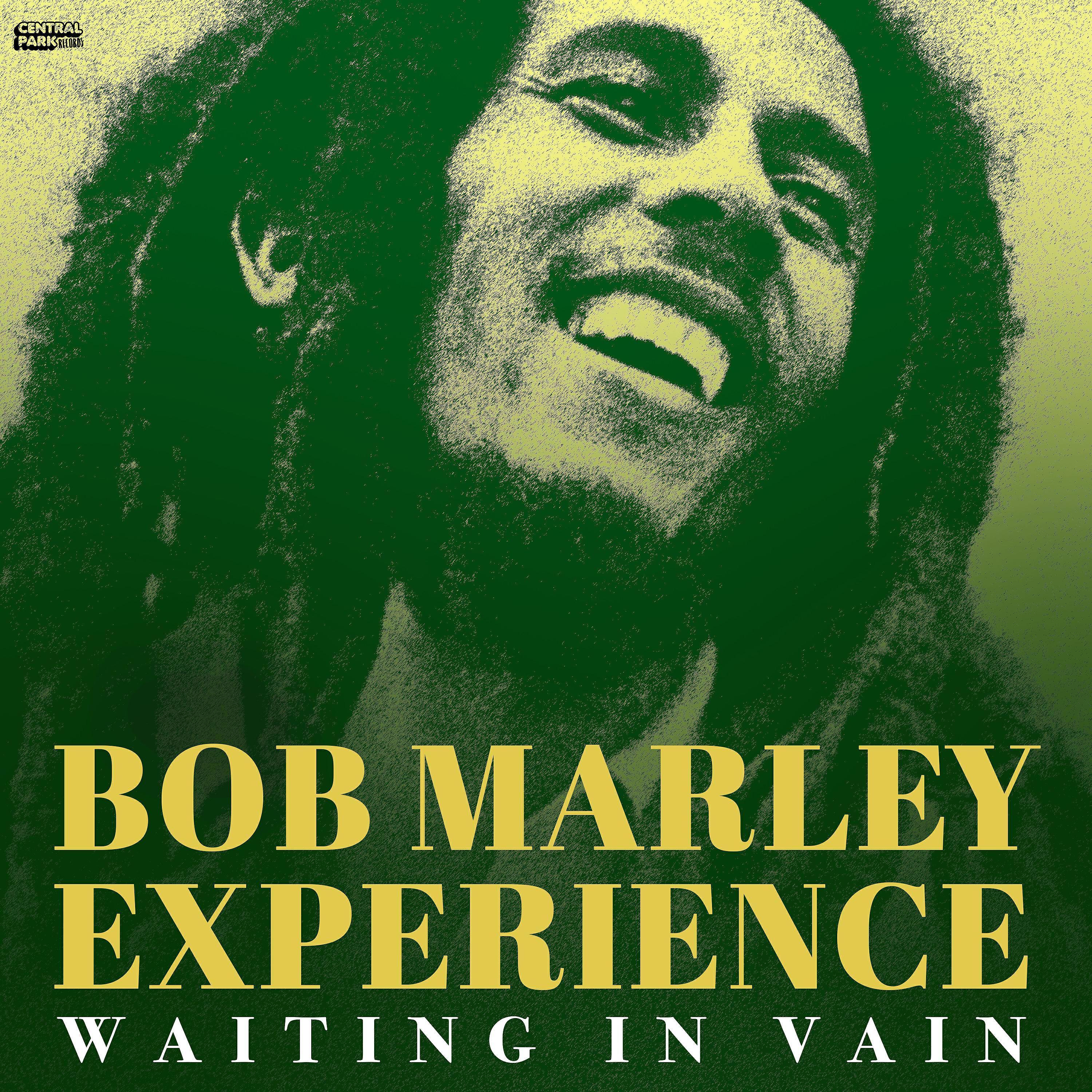 Bob Marley Experience