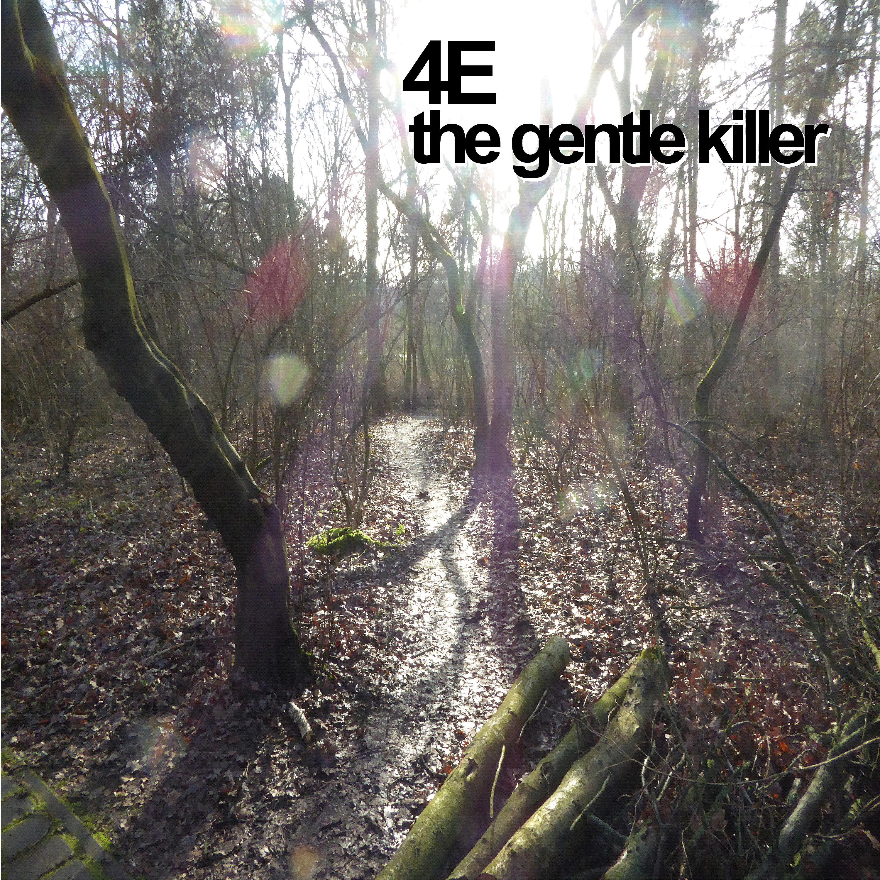Релиз The Gentle Killer