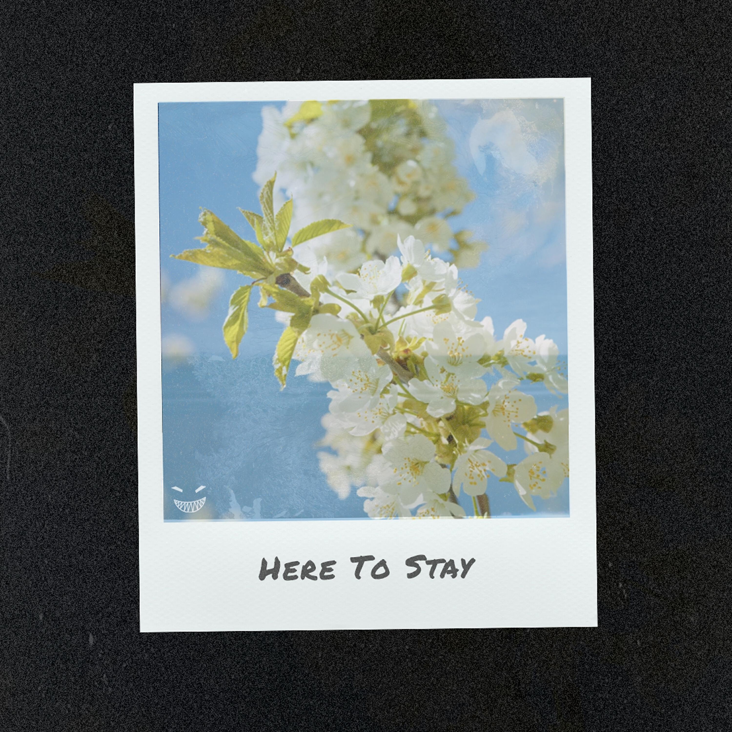 Релиз Here to Stay