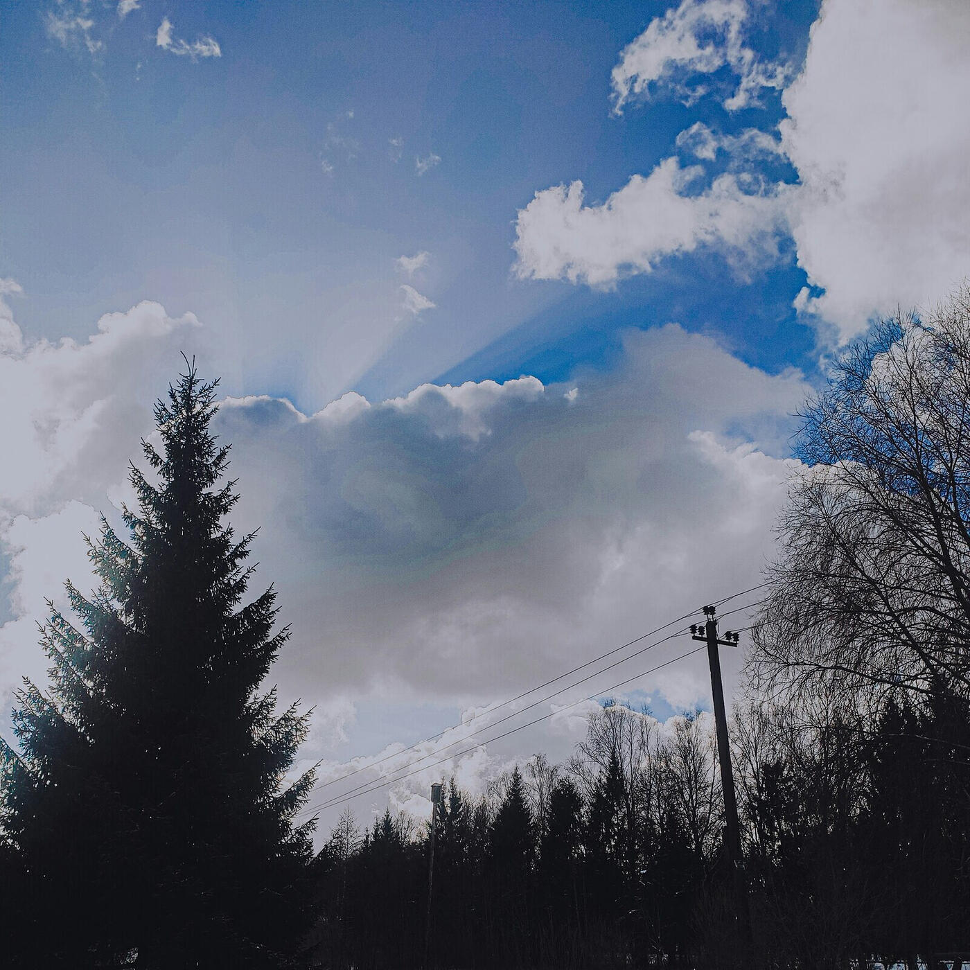 Релиз Nuage