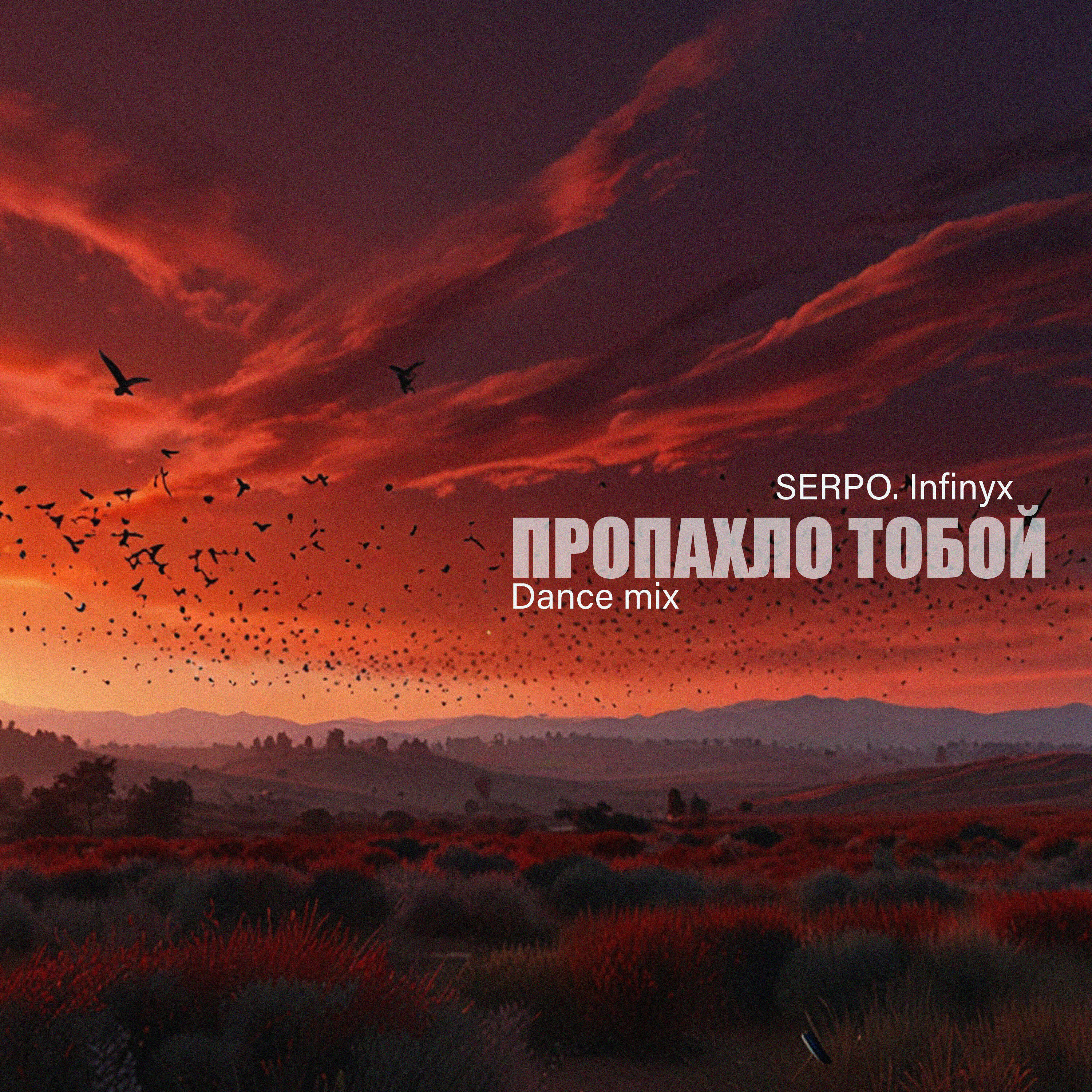 Постер альбома Пропахло тобой (Dance Mix)