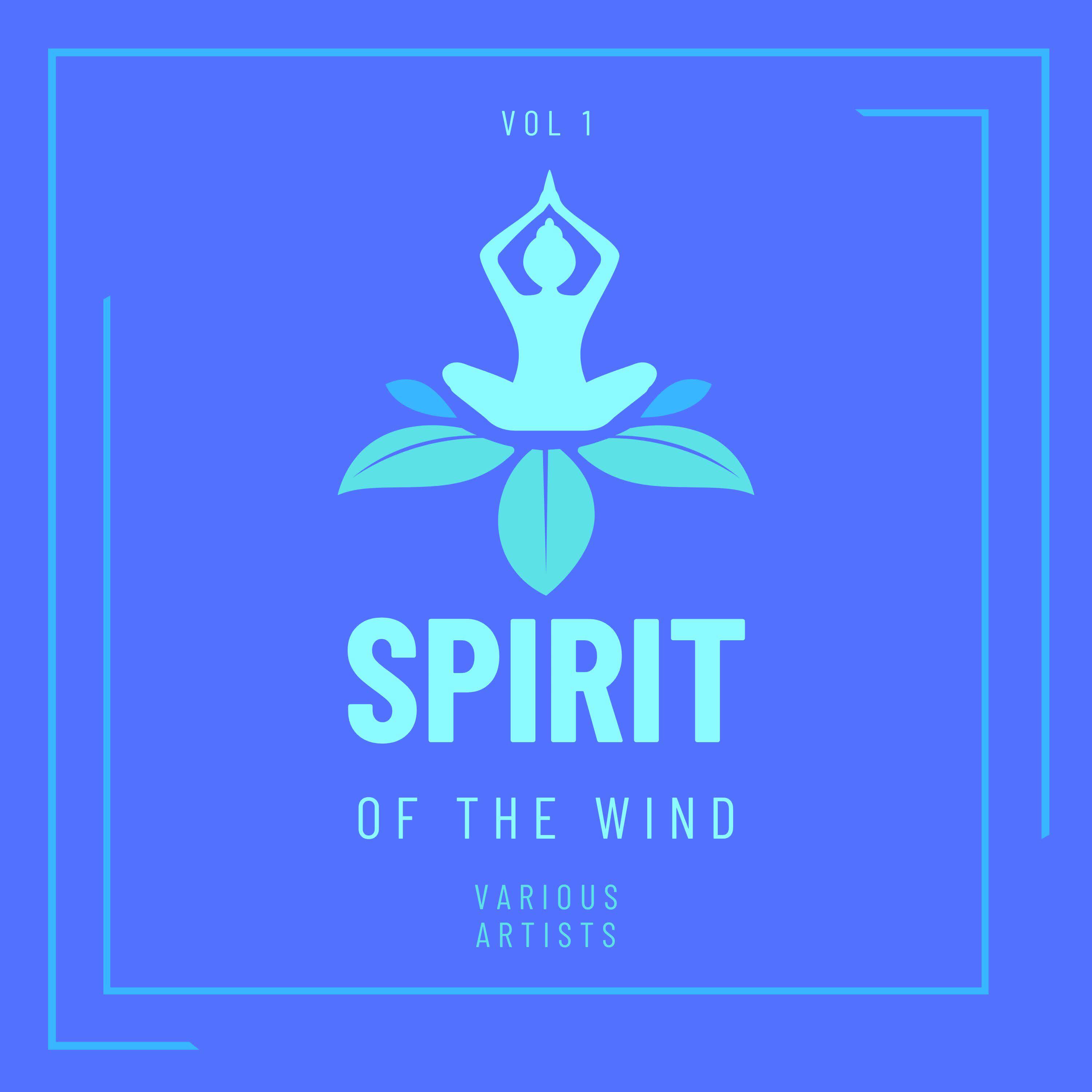 Релиз Spirit Of The Wind, Vol. 1