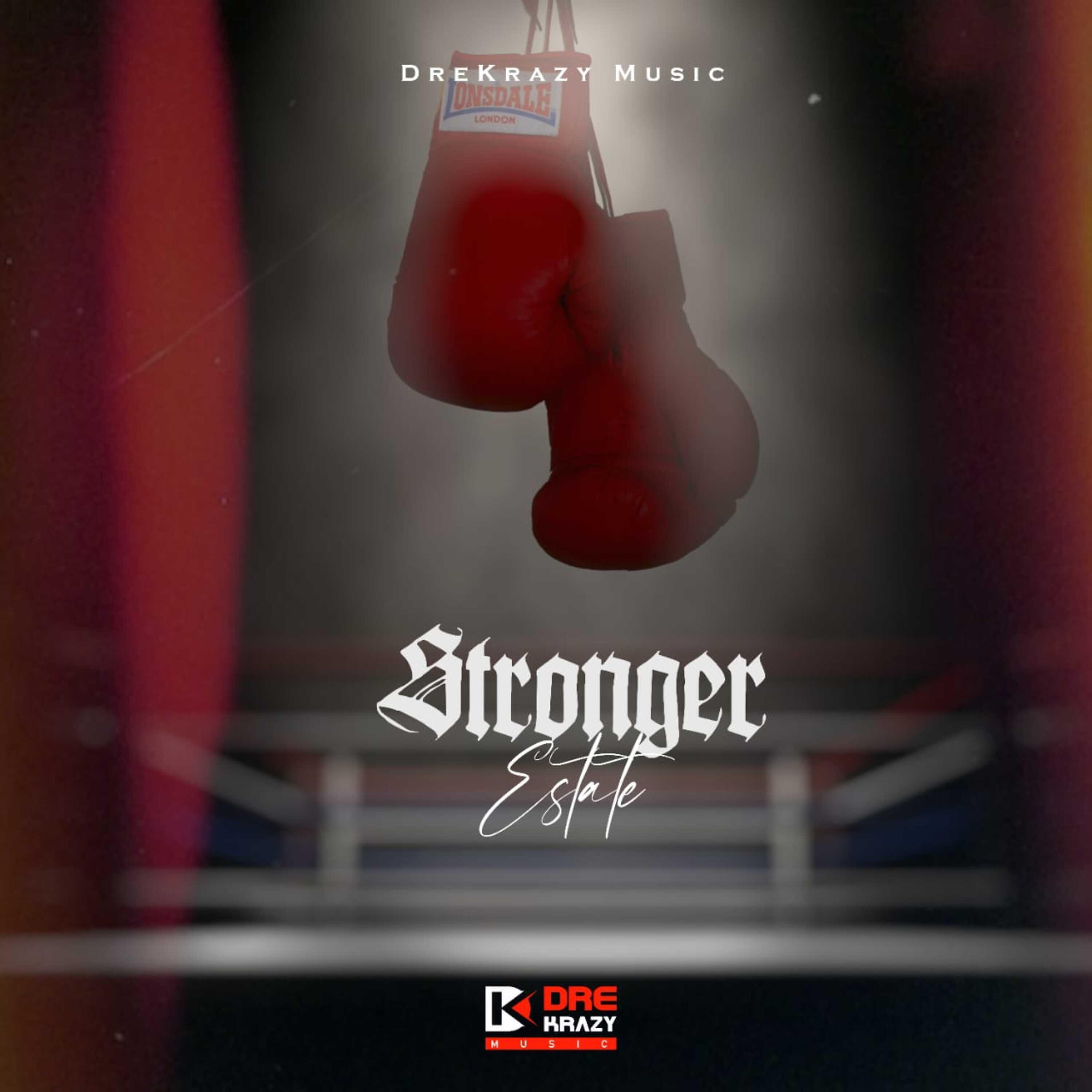 Постер альбома Stronger