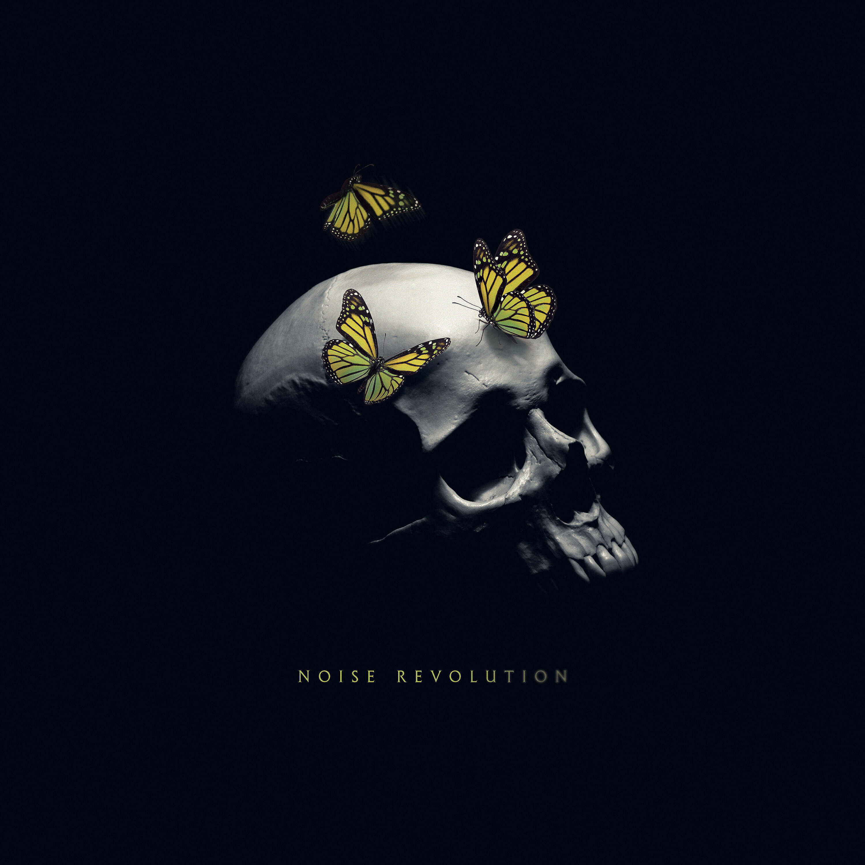 Релиз Noise Revolution