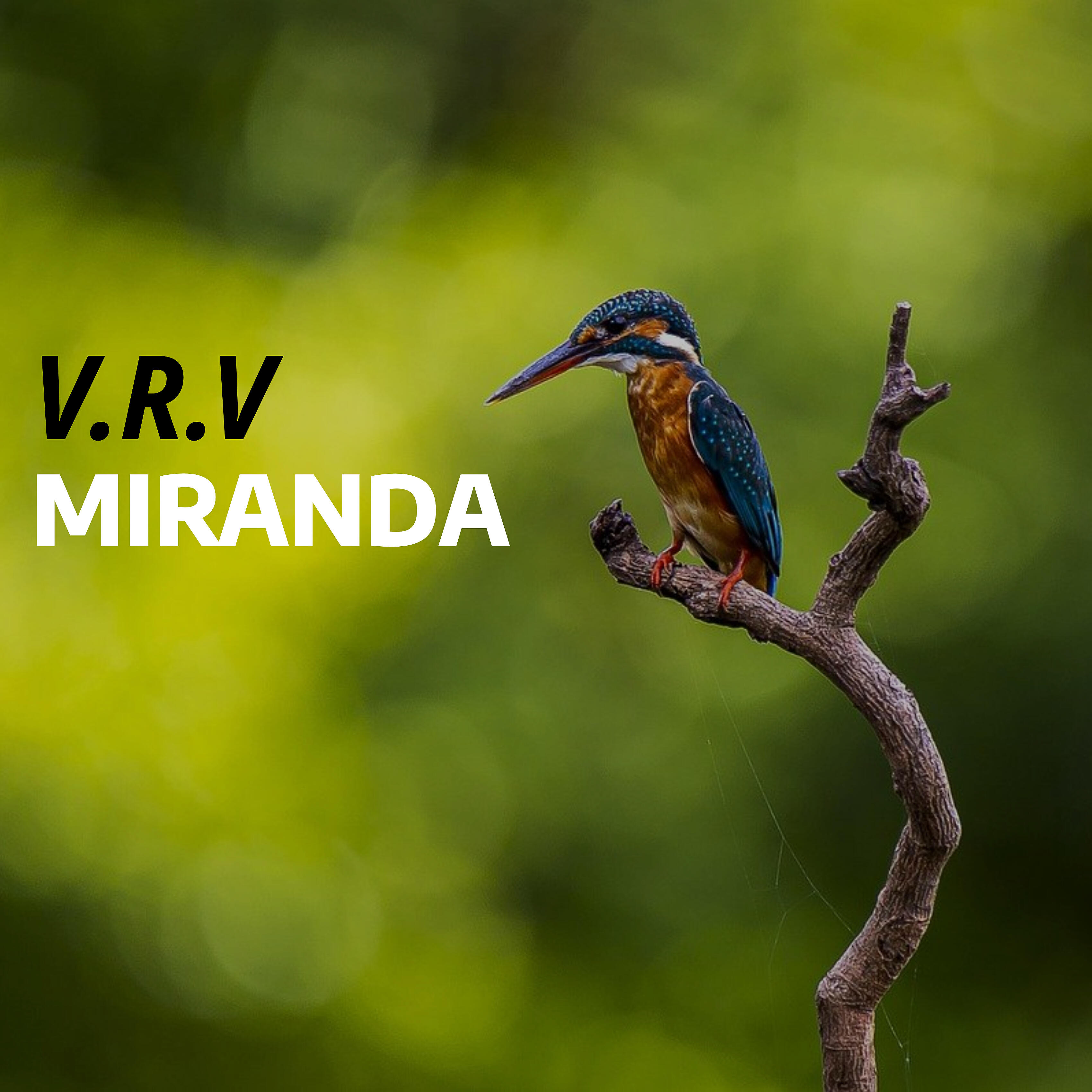 Релиз Miranda
