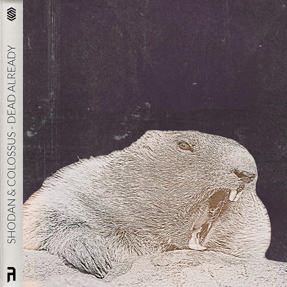Релиз Dead Already