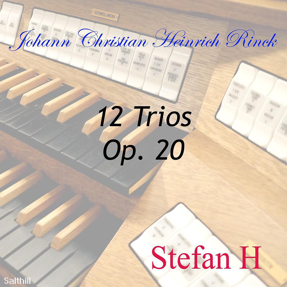 Постер альбома Rinck: 12 Trios, Op. 20