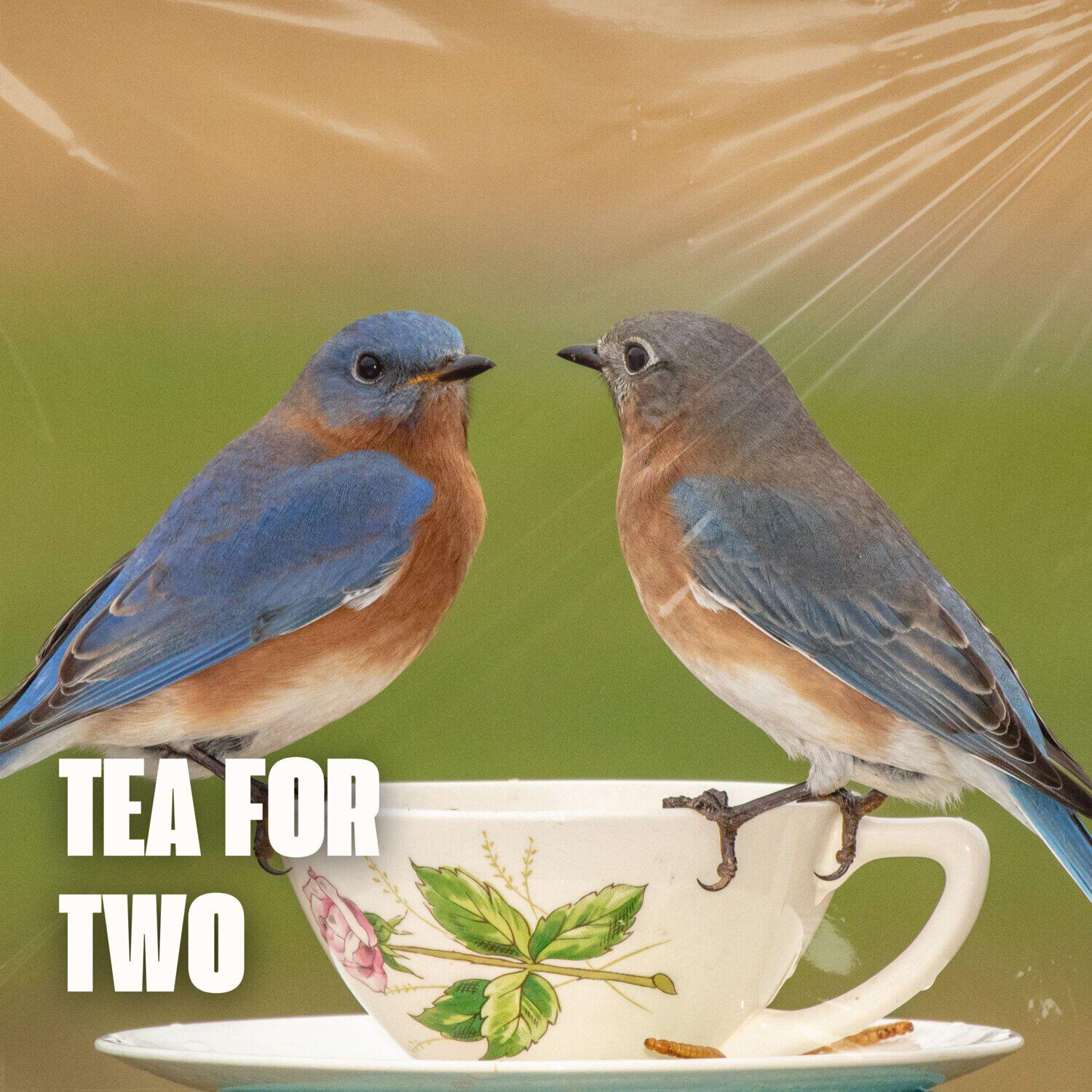 Релиз Tea For Two