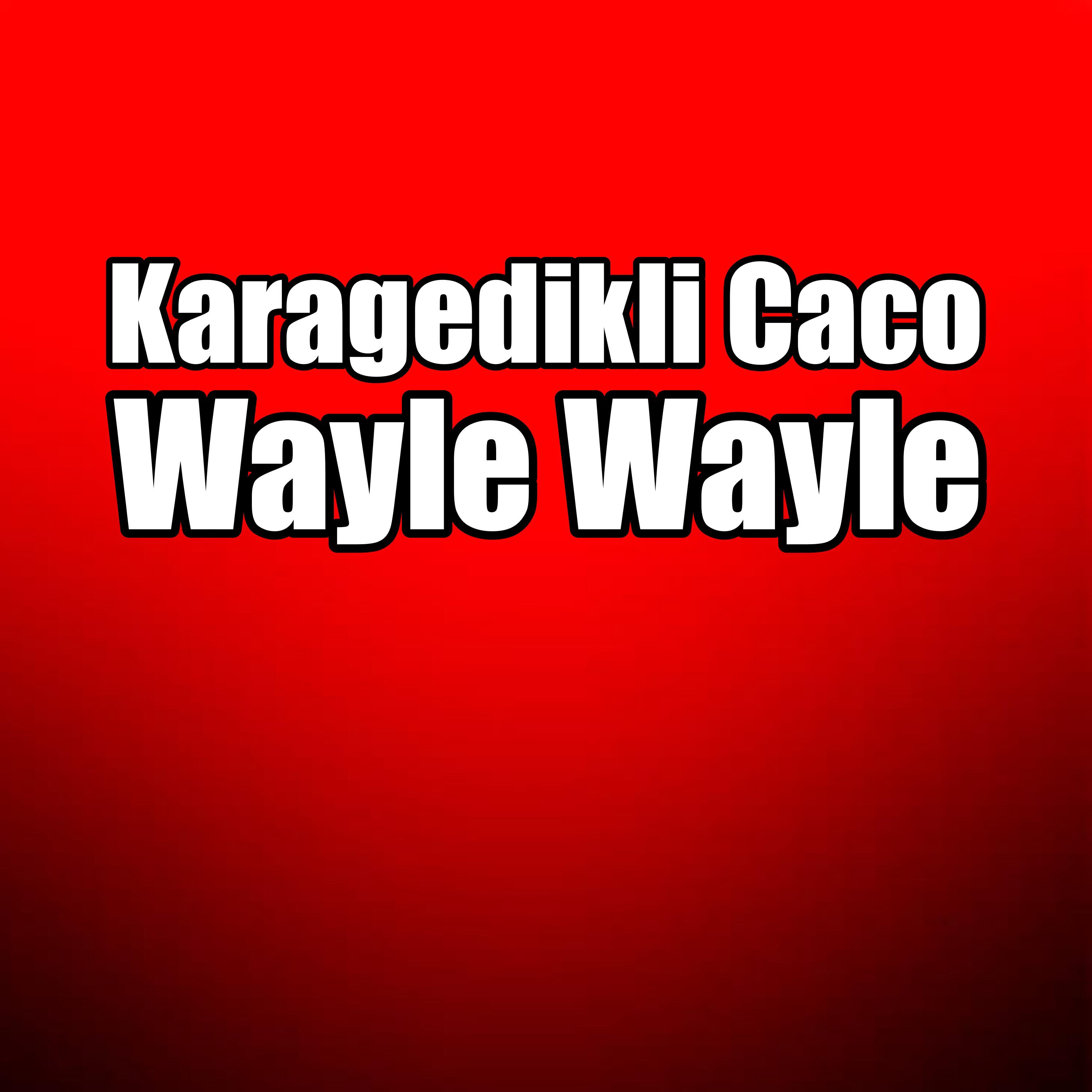 Релиз Wayle Wayle