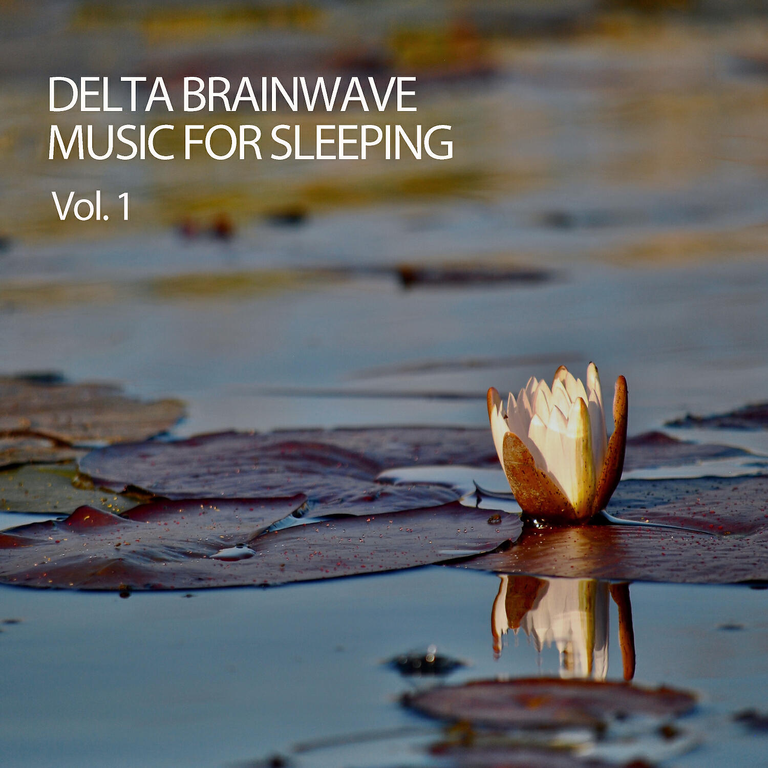 Binaural Beats Isochronic Tones Lab & Binaural Beats Sleep & Binaural Shapers - Blue Forest Binaural Beats